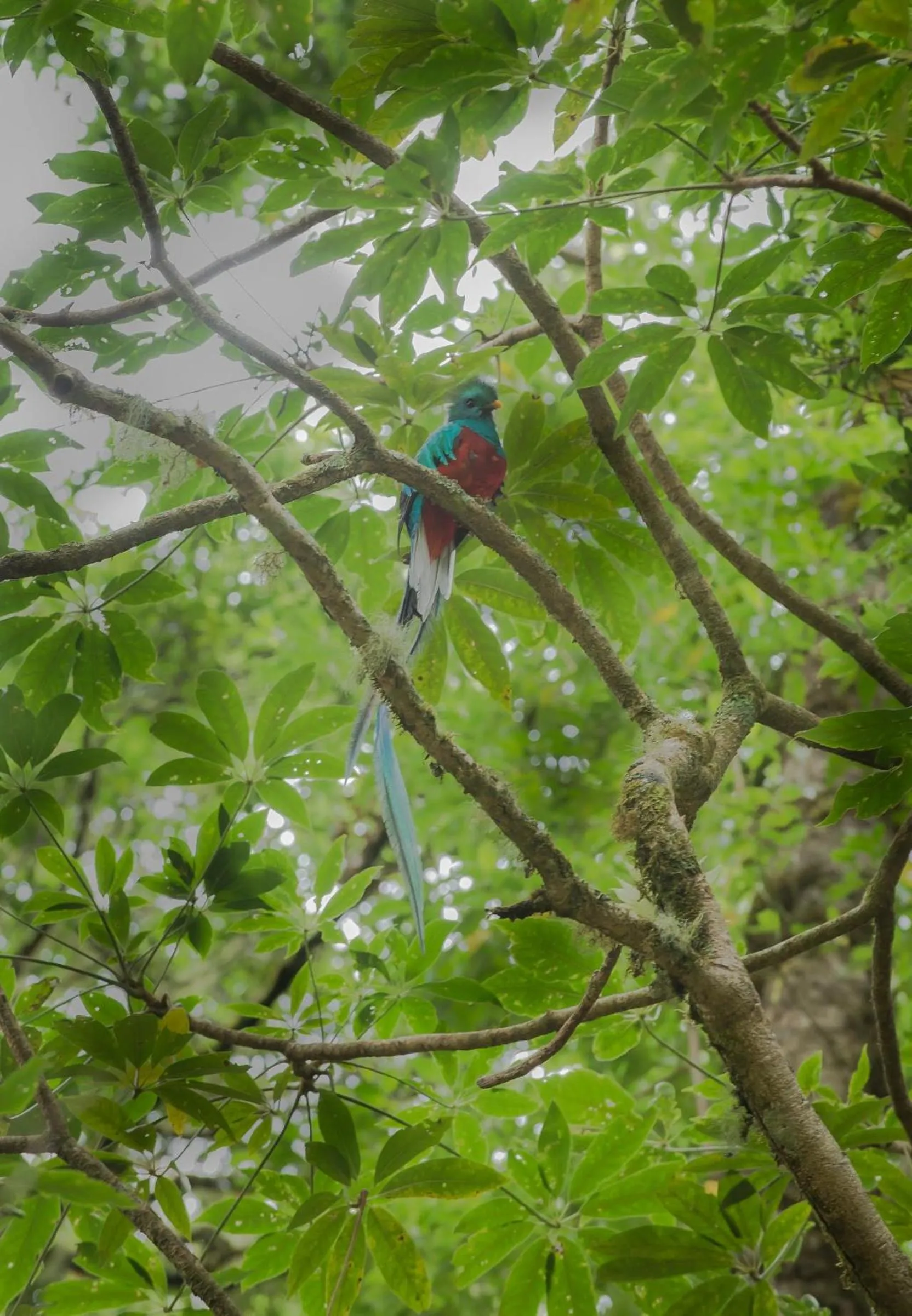 Natural landscape in Hotel Ladera