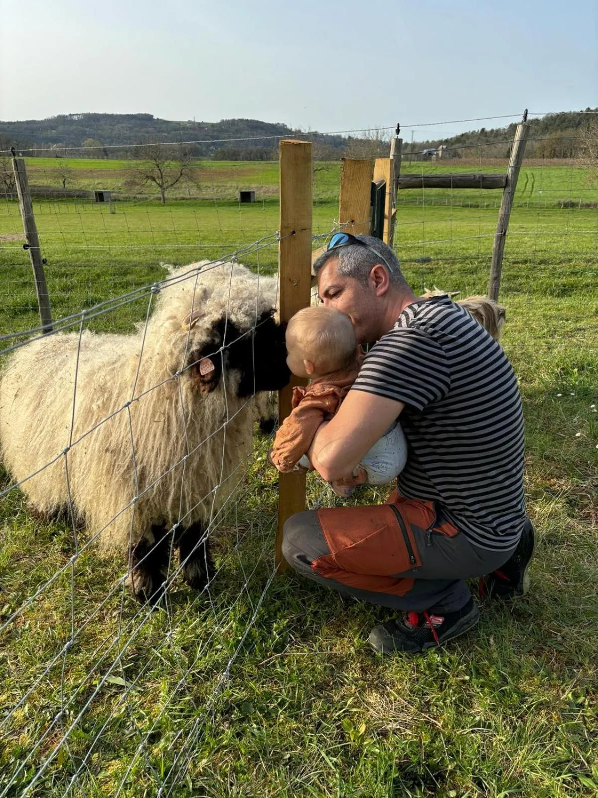 Animals in Ferme des Petites Oreilles 4 étoiles