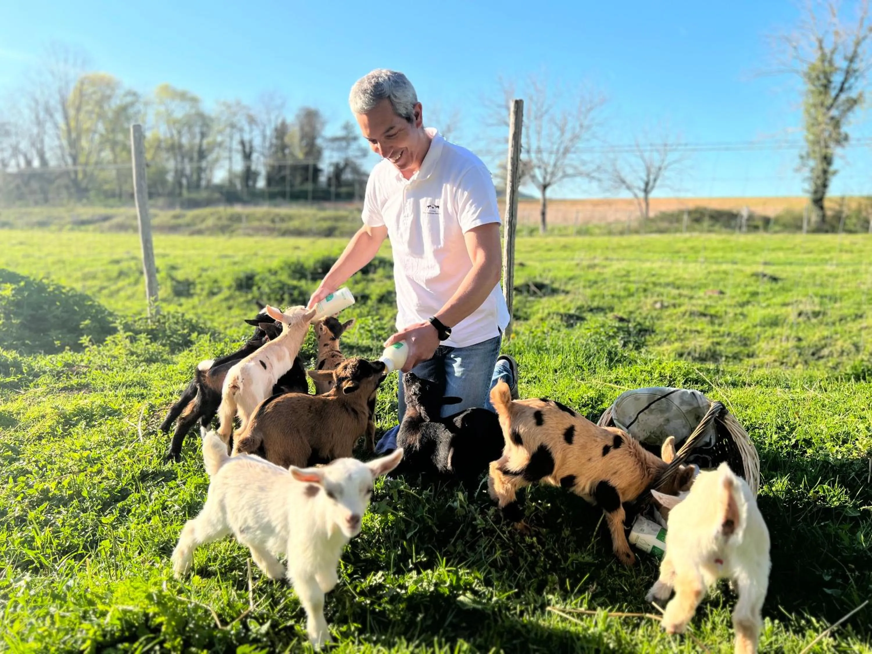 Day in Ferme des Petites Oreilles 4 étoiles