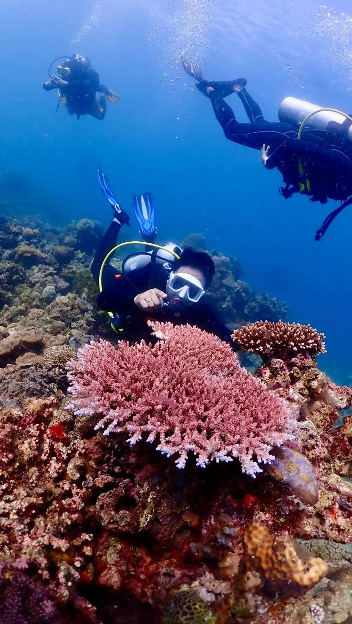 PamAnilao and Padoy's Dive Camp