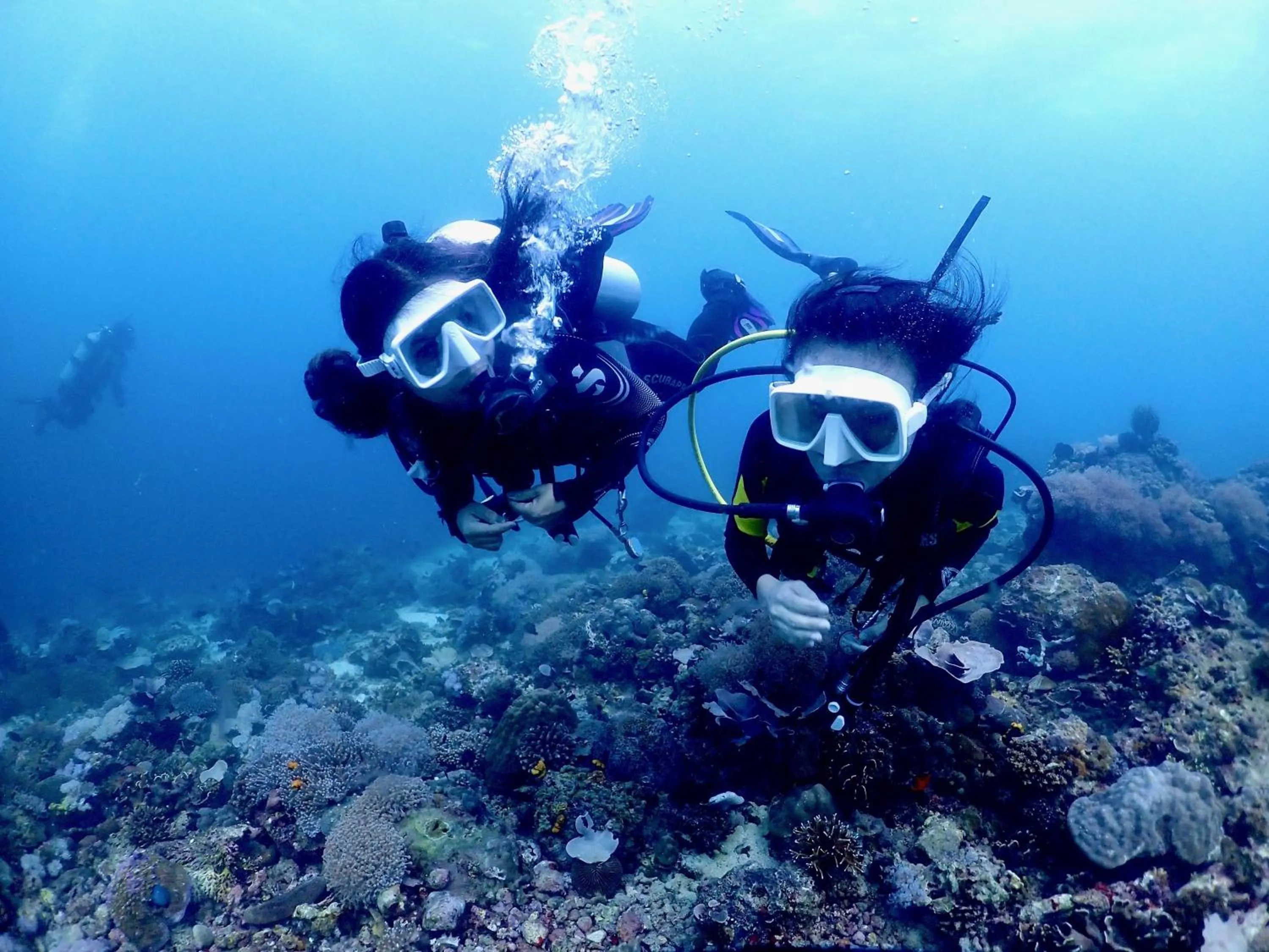 PamAnilao and Padoy's Dive Camp