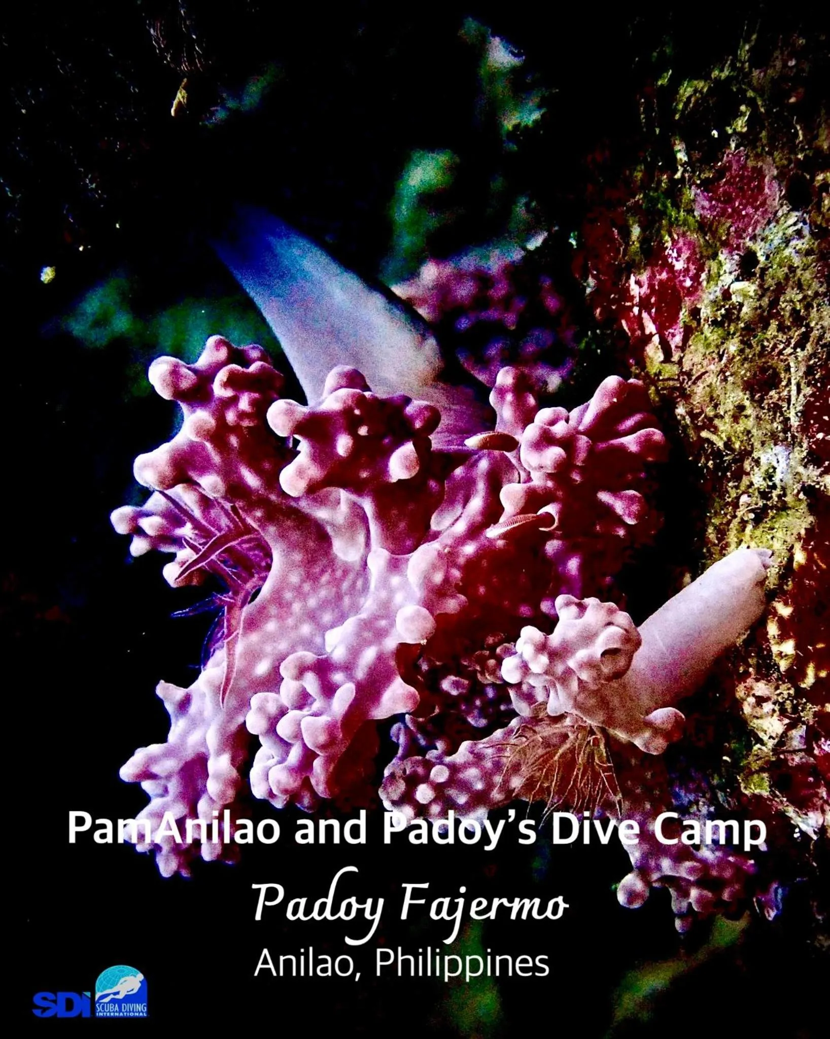 PamAnilao and Padoy's Dive Camp