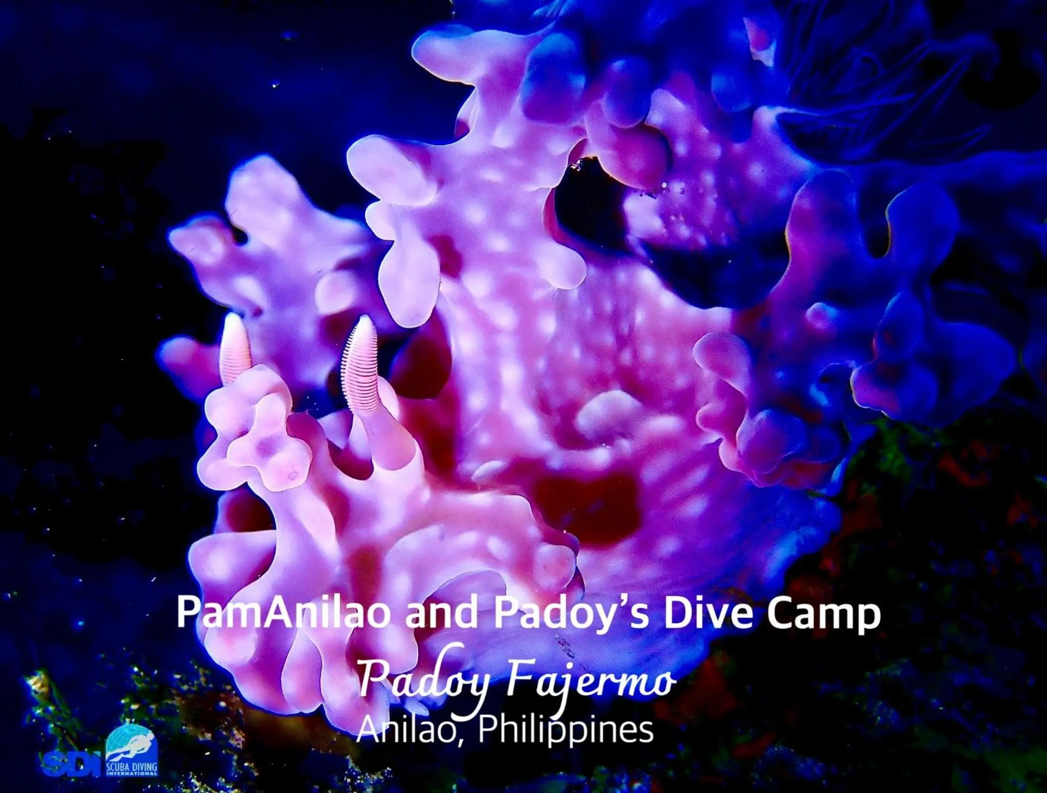 PamAnilao and Padoy's Dive Camp