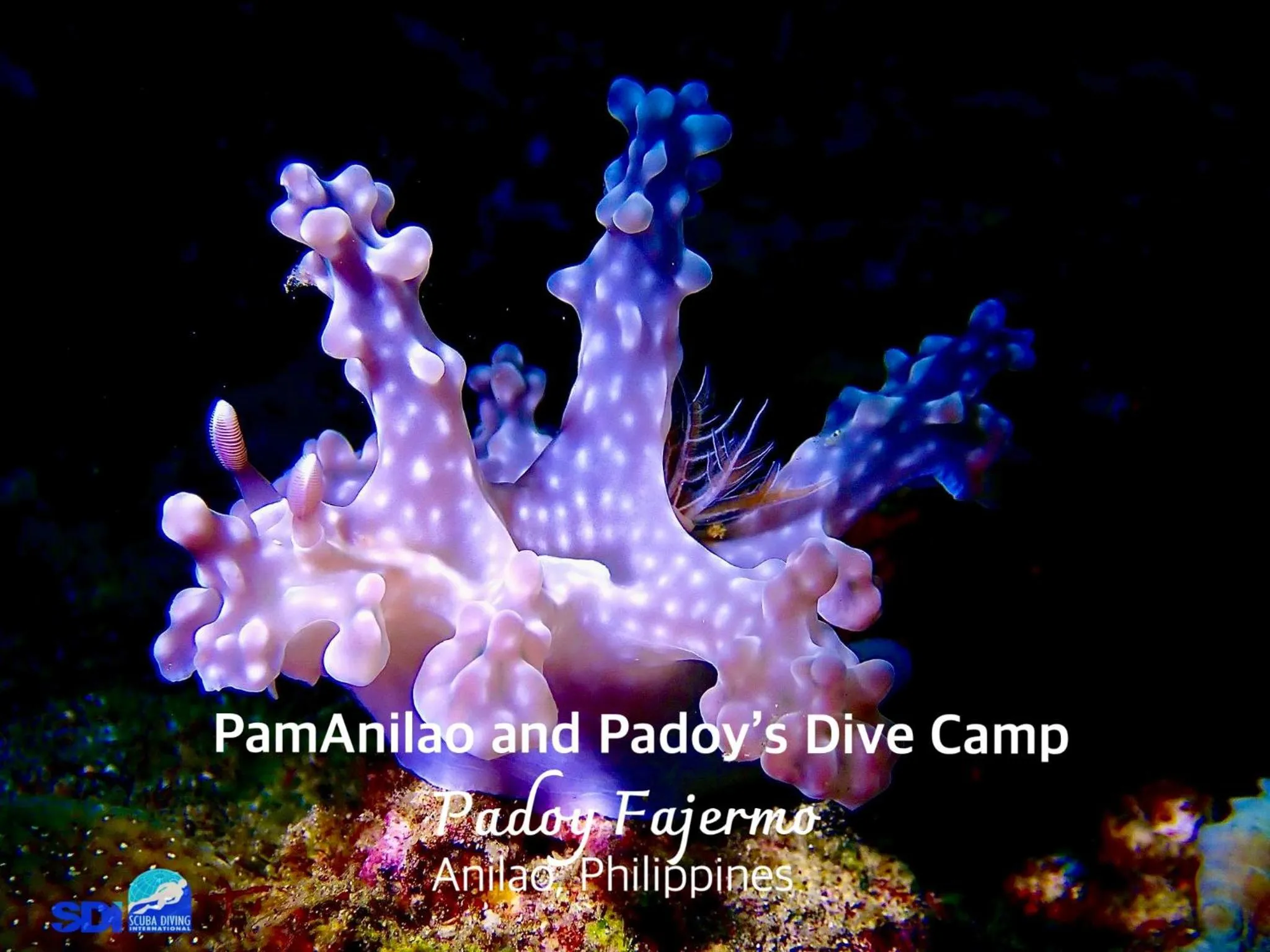 PamAnilao and Padoy's Dive Camp