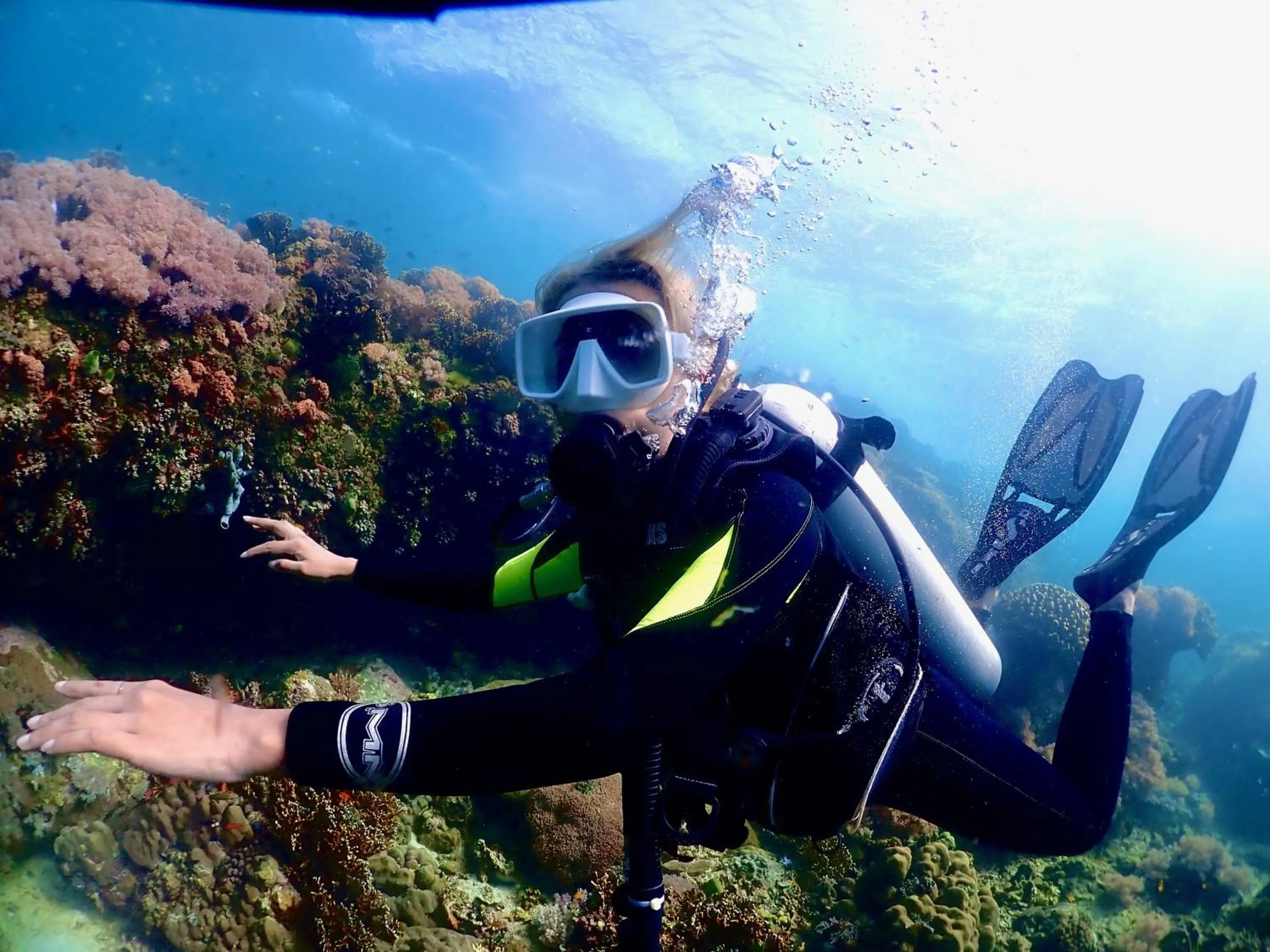 PamAnilao and Padoy's Dive Camp