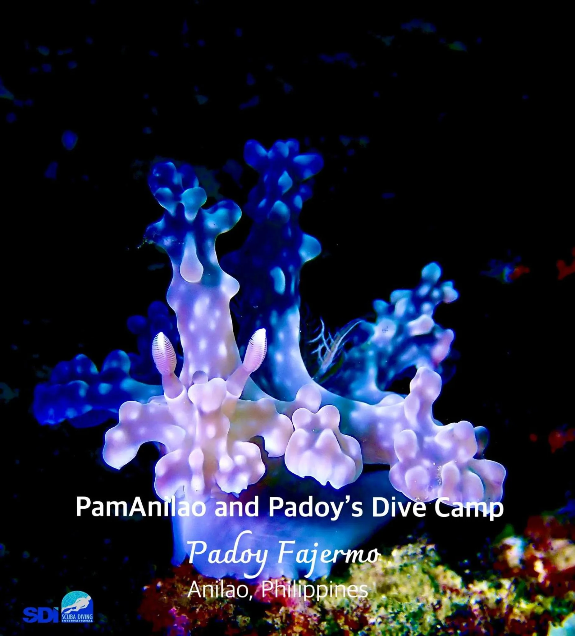 PamAnilao and Padoy's Dive Camp