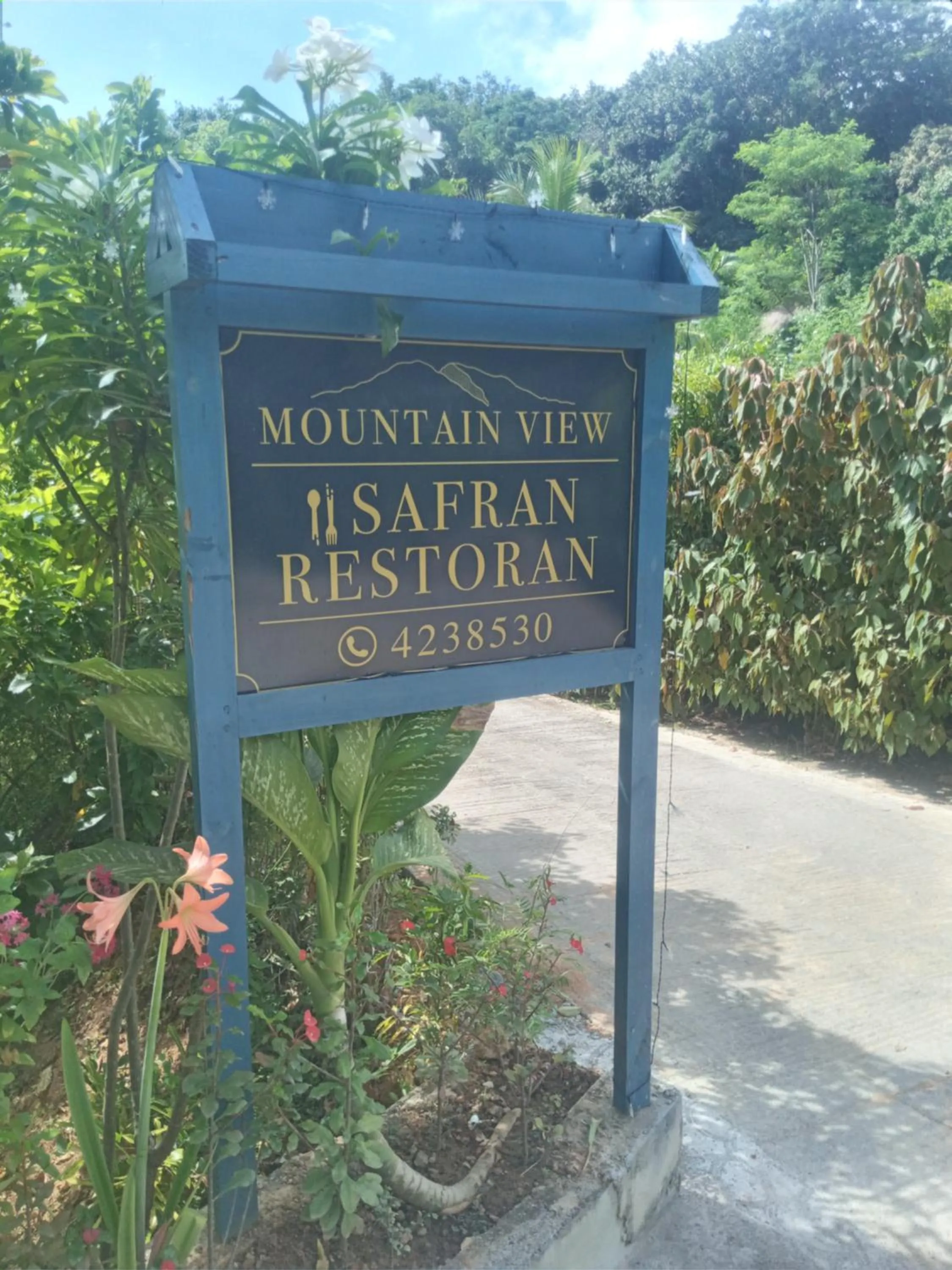 Restaurant/places to eat in Mountain View Hotel