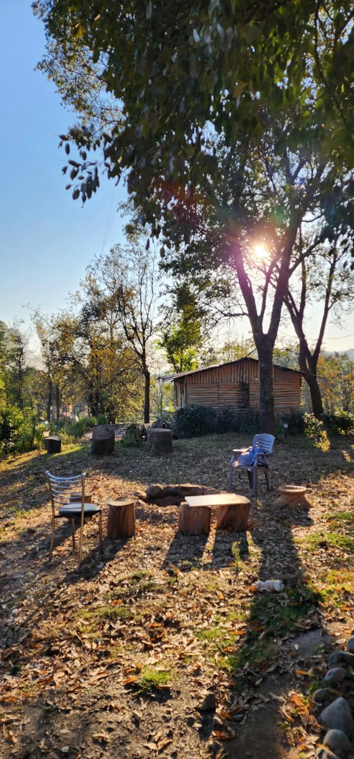 Garden in The Birdhouse Villa