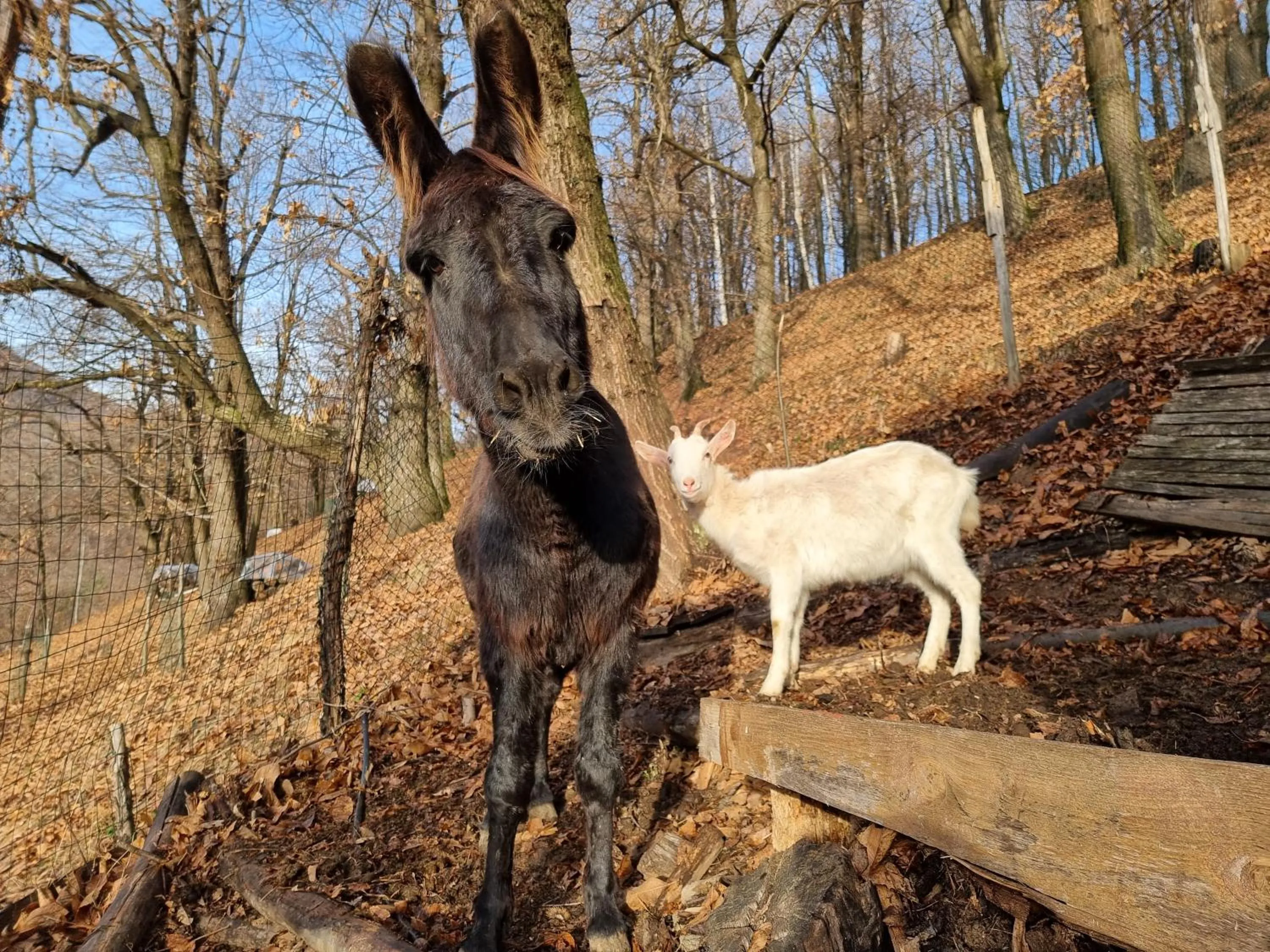 IDUEVAGAMONDI - Ospitalità Rurale Famigliare di Montagna