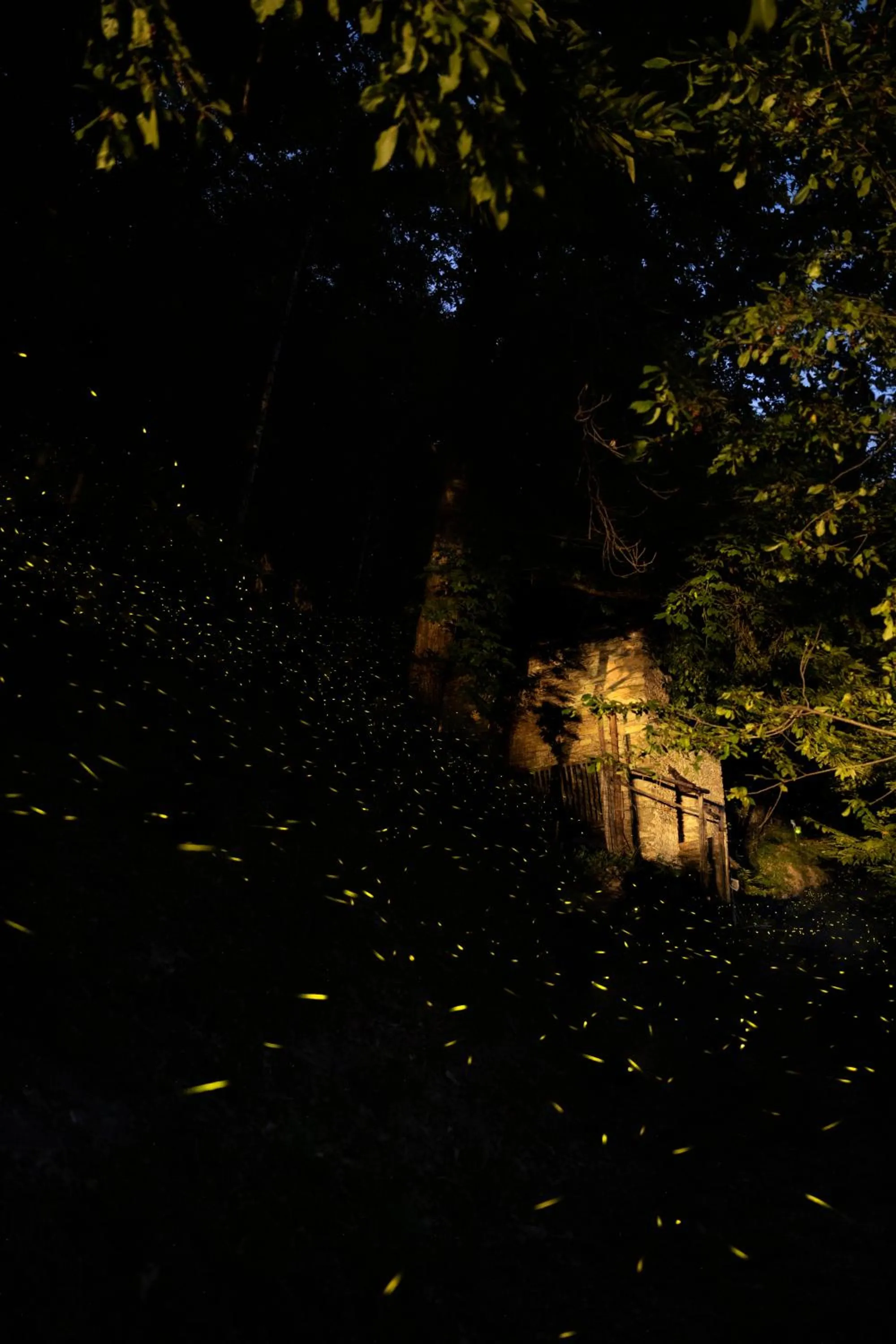 IDUEVAGAMONDI - Ospitalità Rurale Famigliare di Montagna