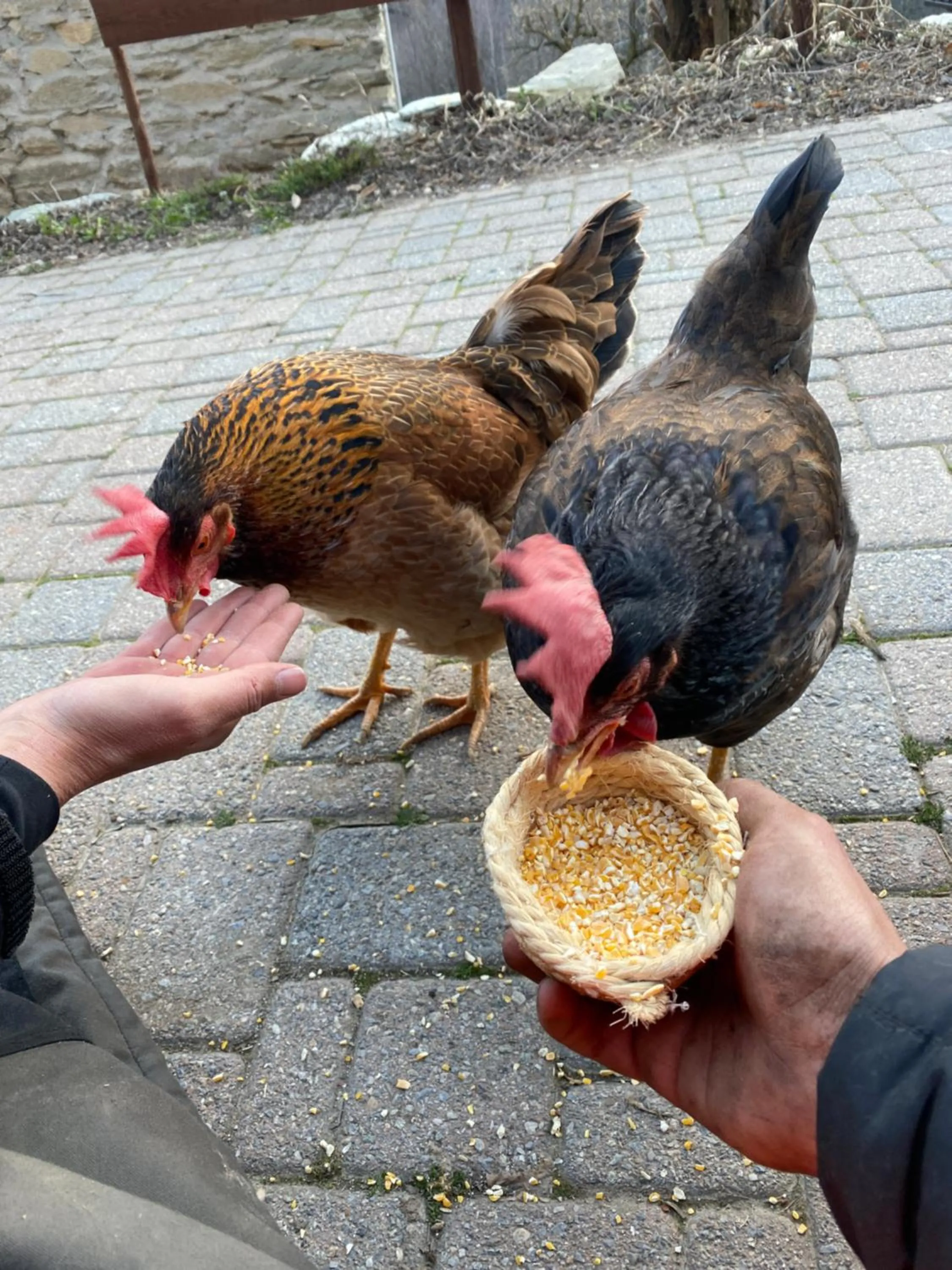 IDUEVAGAMONDI - Ospitalità Rurale Famigliare di Montagna