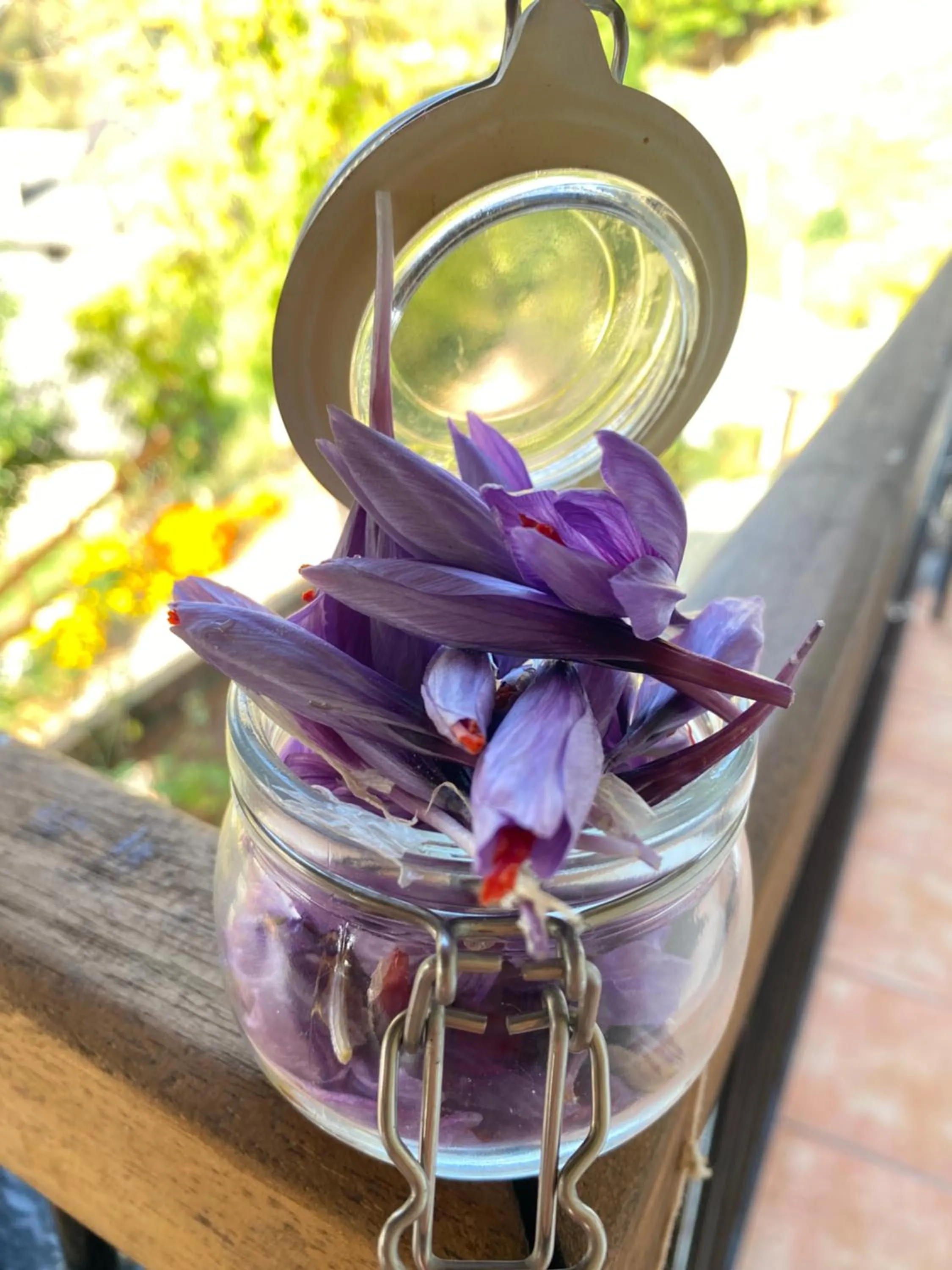 IDUEVAGAMONDI - Ospitalità Rurale Famigliare di Montagna