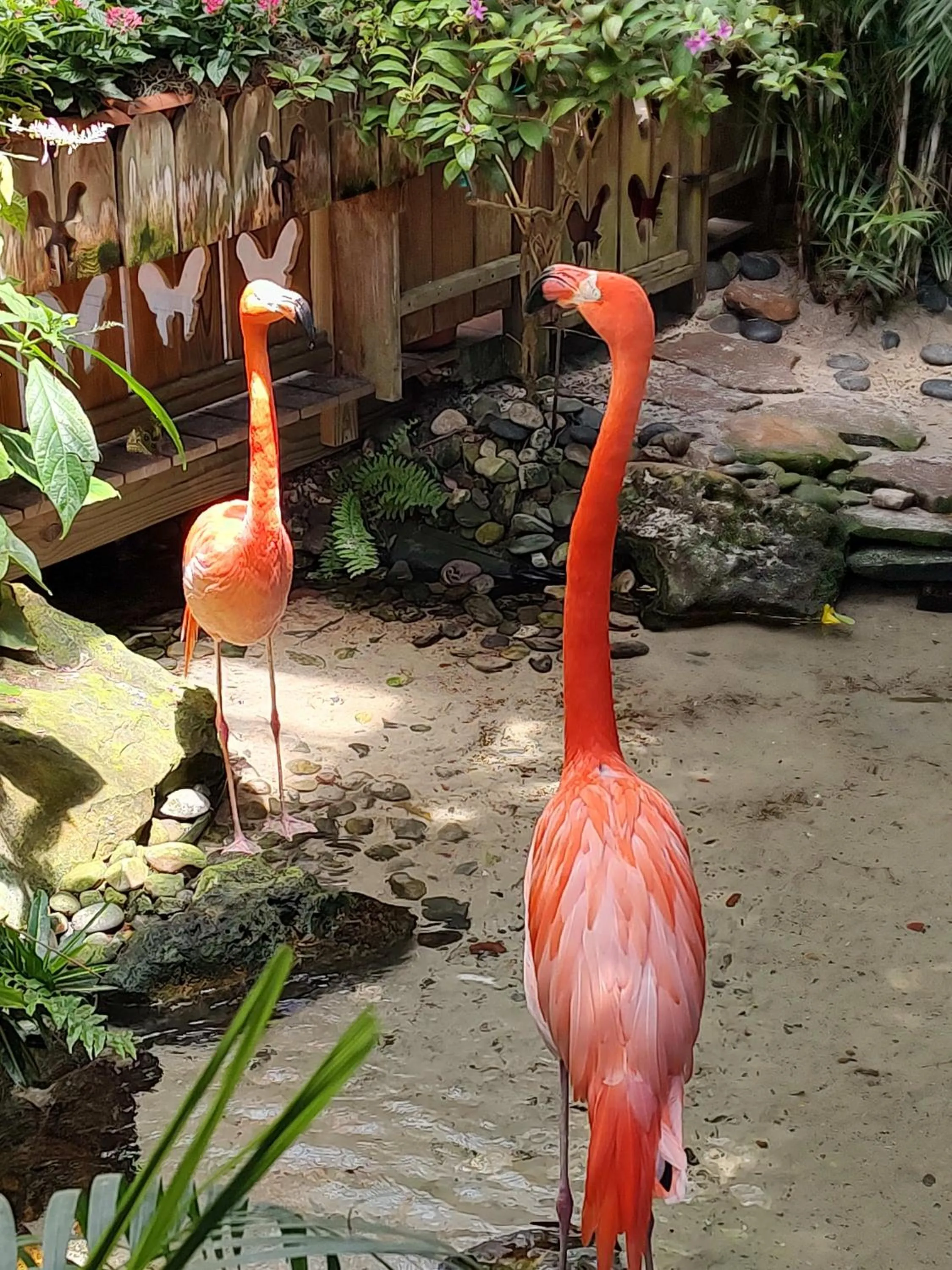 Duval Street Suite overlooking Duval with parking and pool