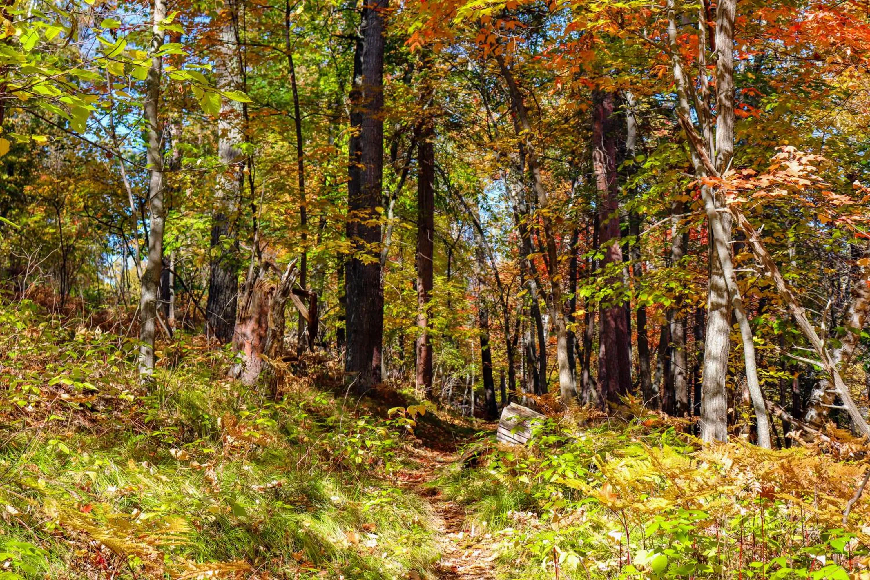 Hiking in Lost Lake Lodge