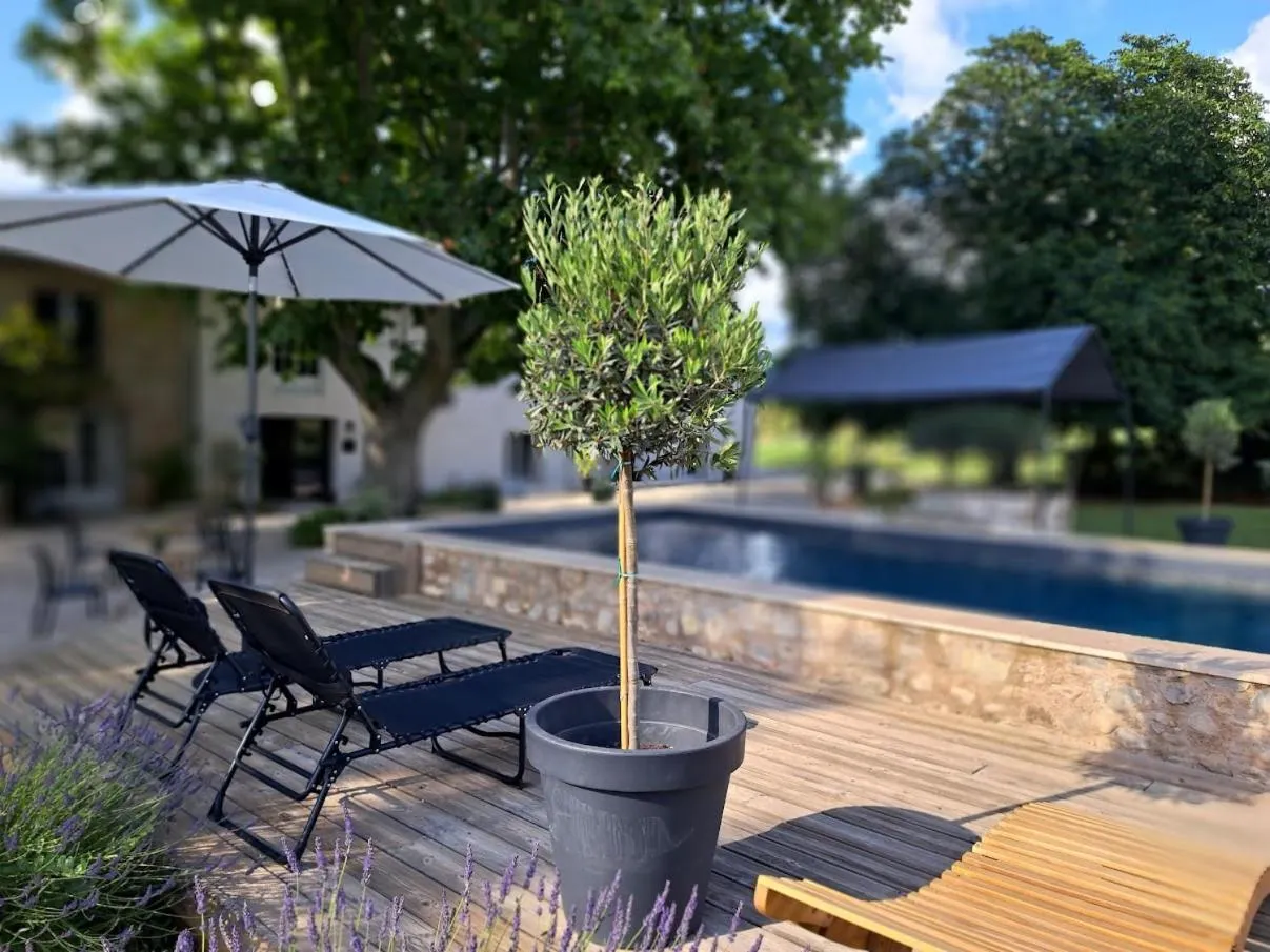 Swimming pool in Hôtel Le Cottage de Sophie