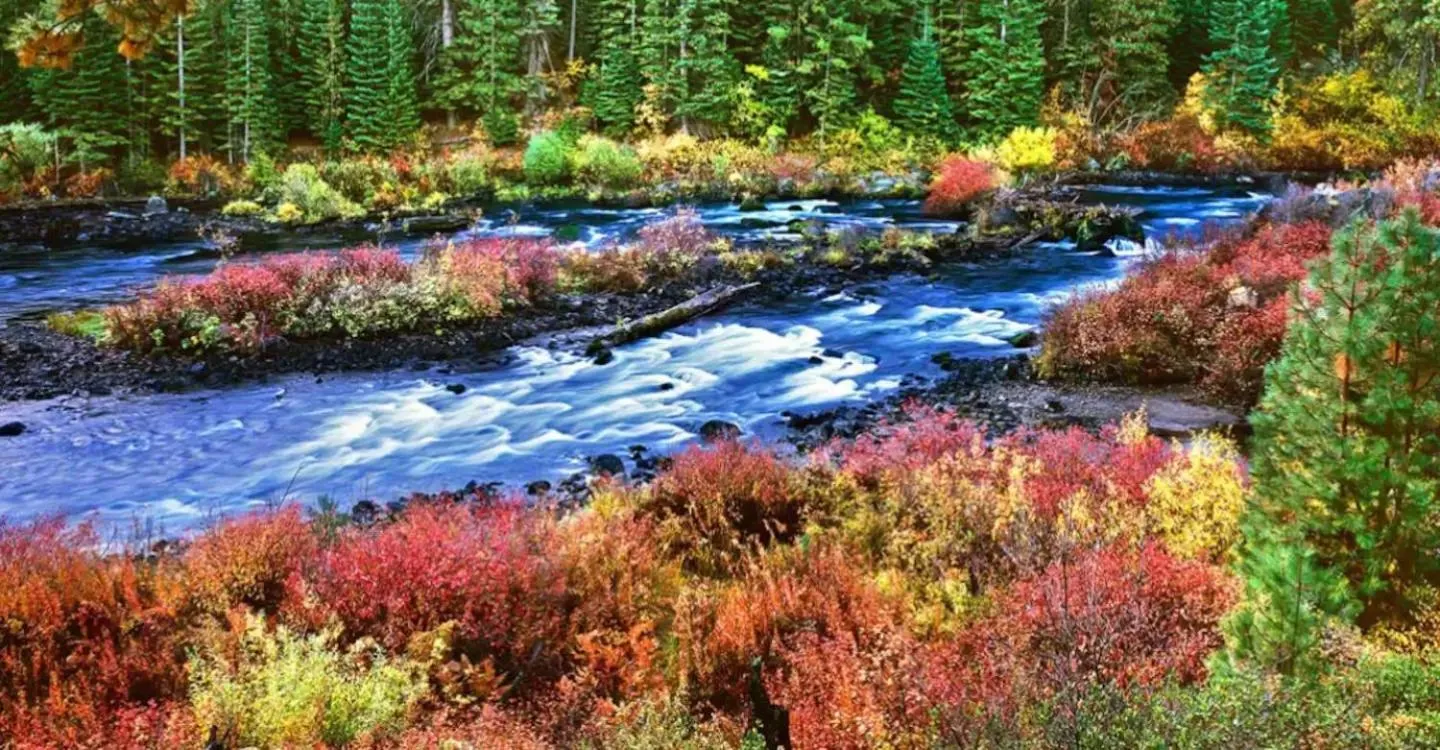 Seventh Mountain Resort