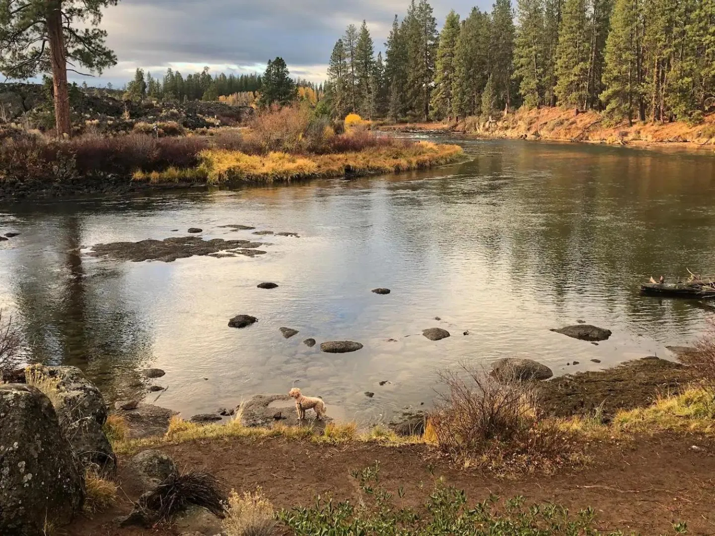 Seventh Mountain Resort