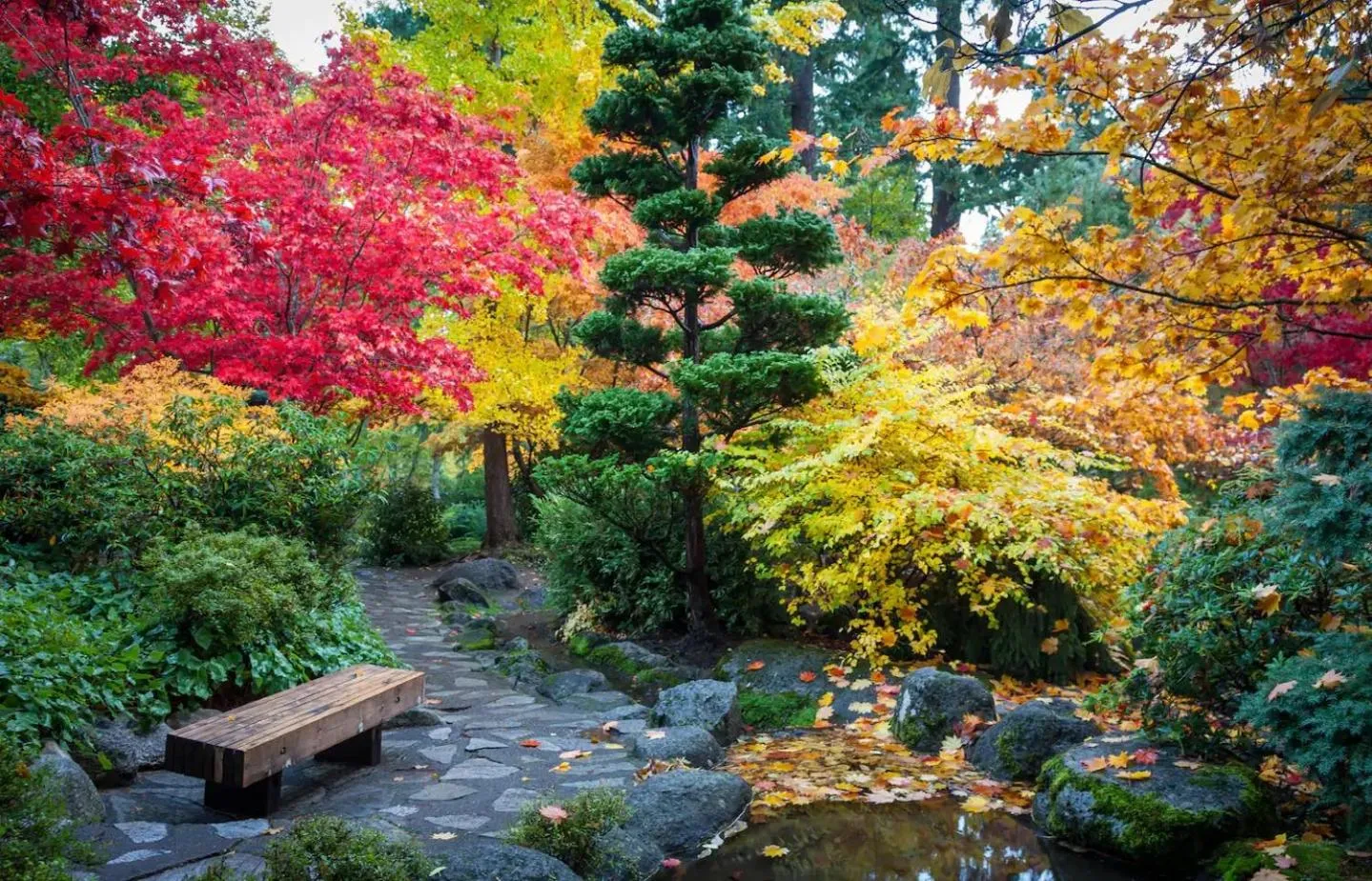 Seventh Mountain Resort