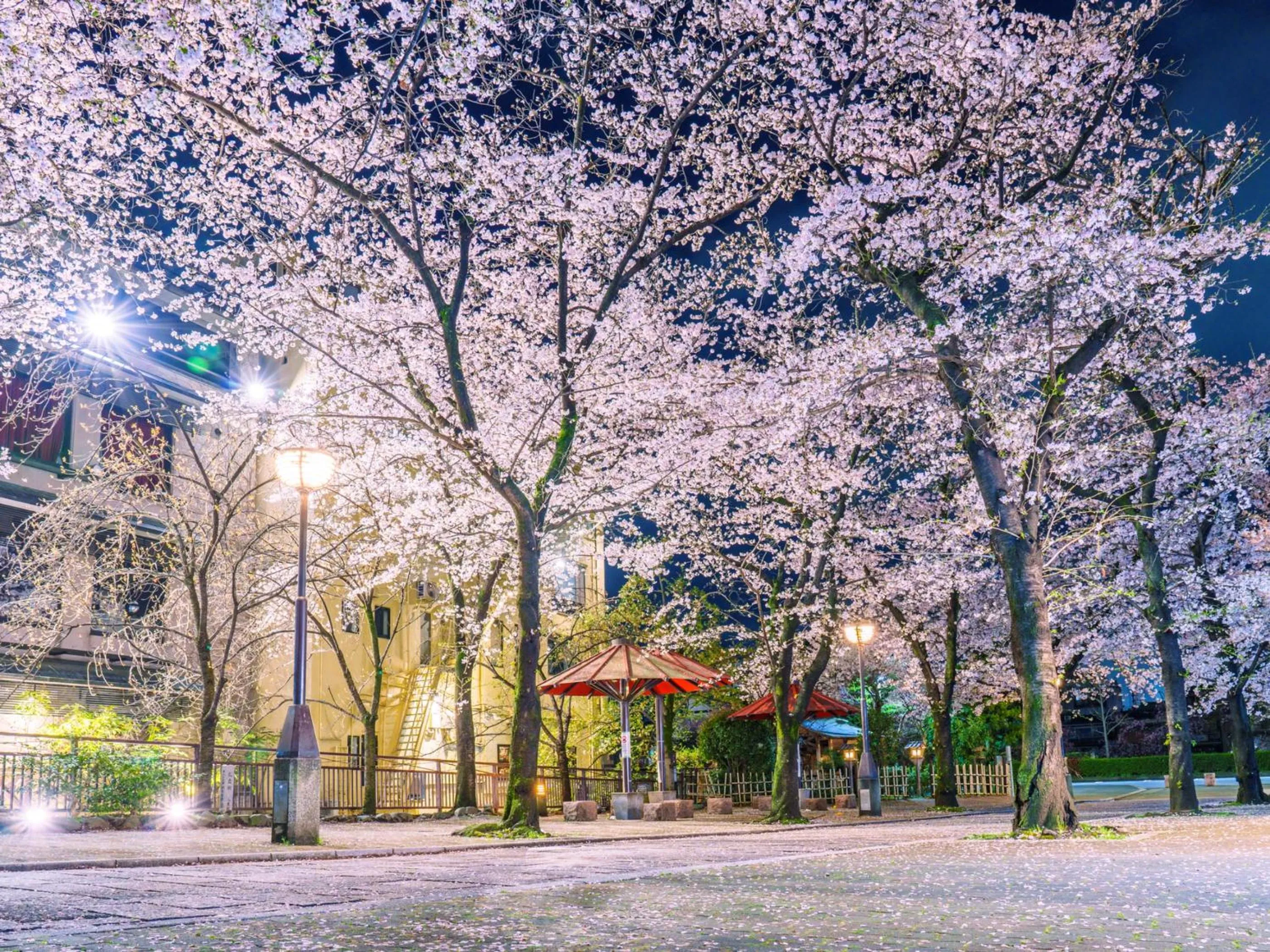 Nearby landmark in THE BLOSSOM KYOTO