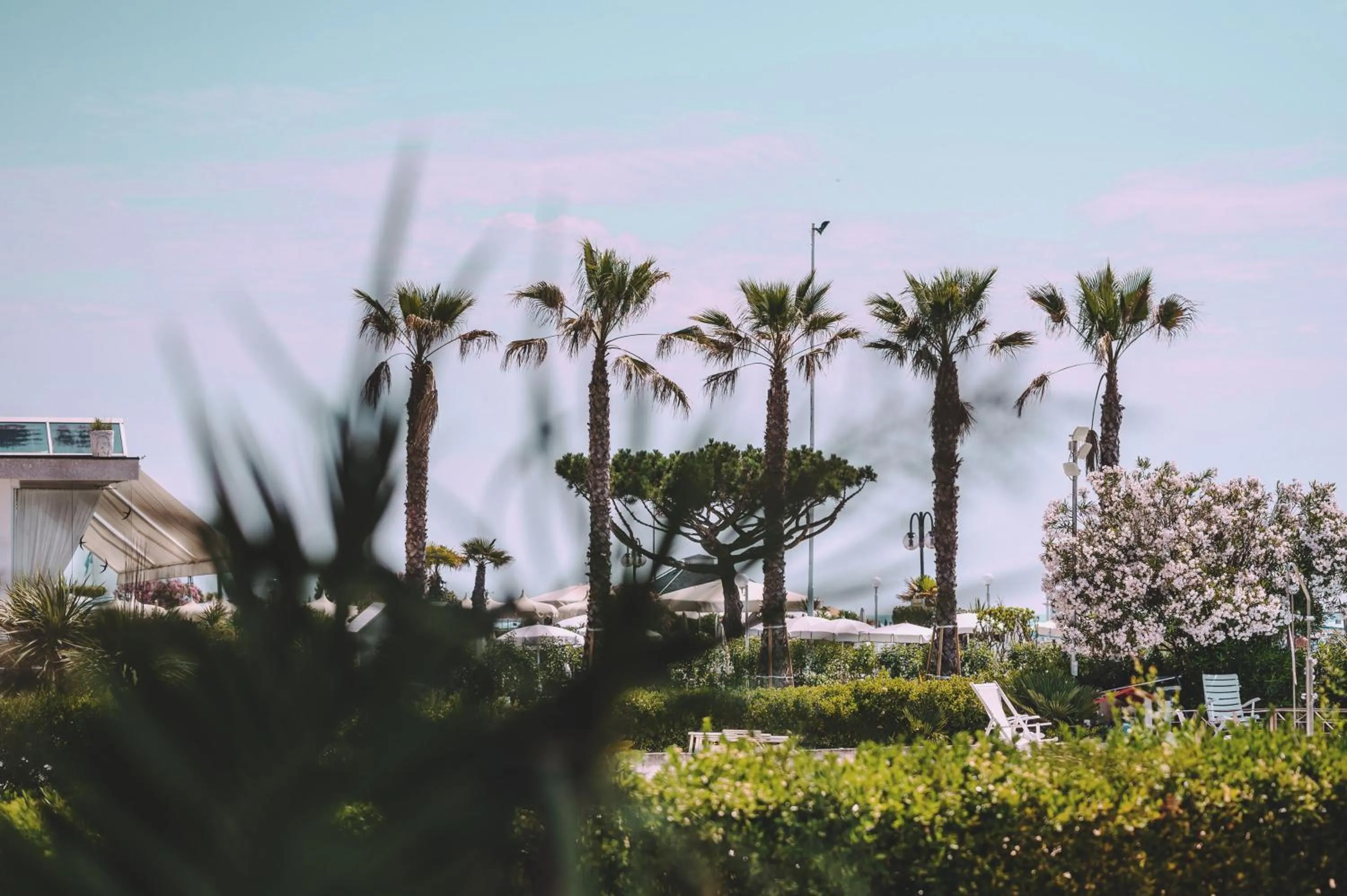 Breakfast in Hotel Monaco & Quisisana