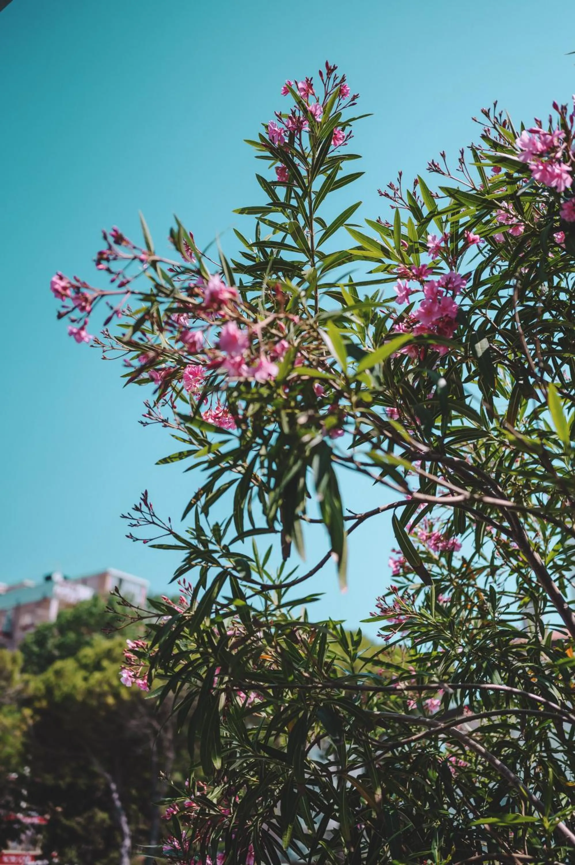 Breakfast in Hotel Monaco & Quisisana