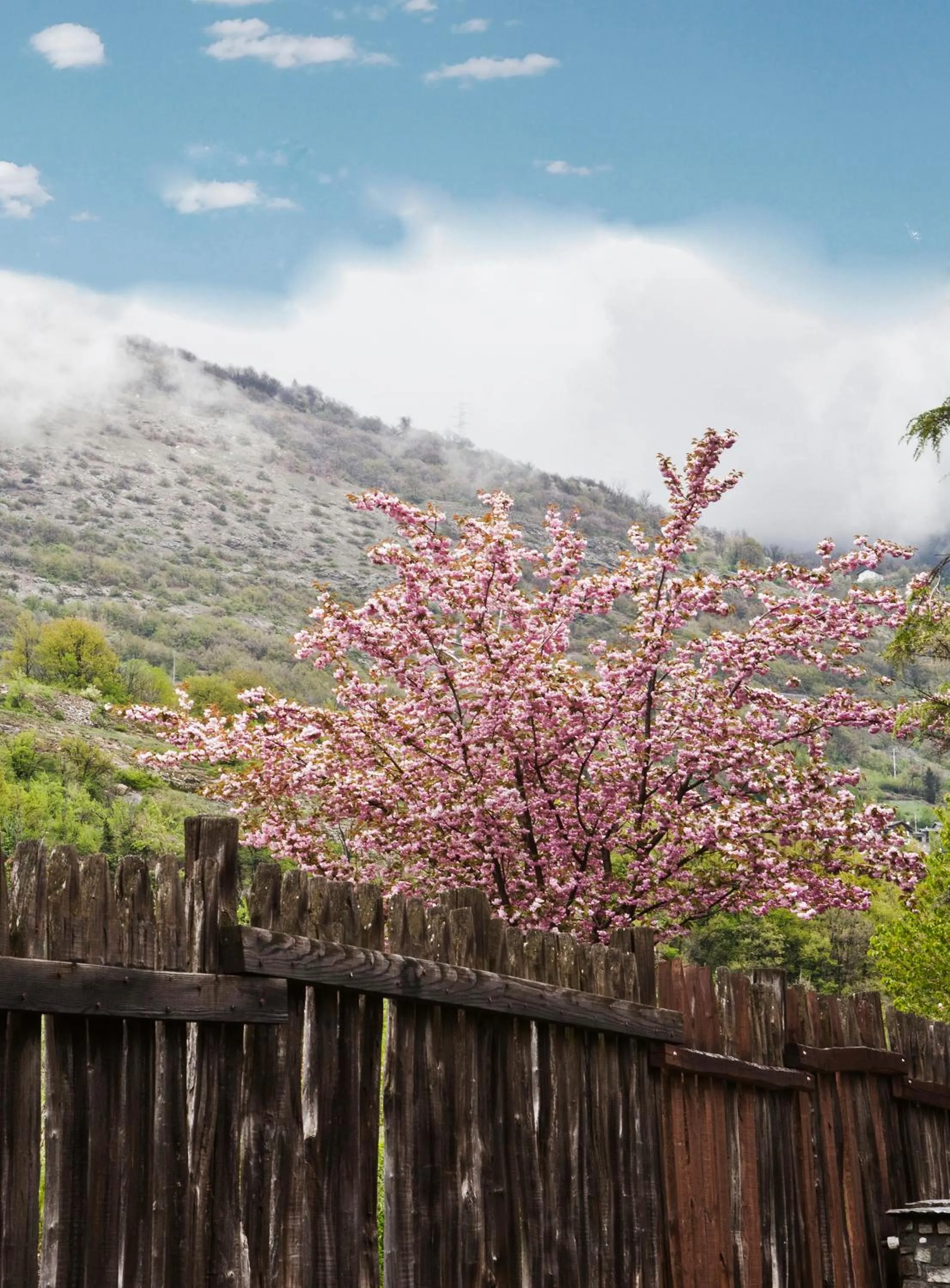 Spring in Hotel Village