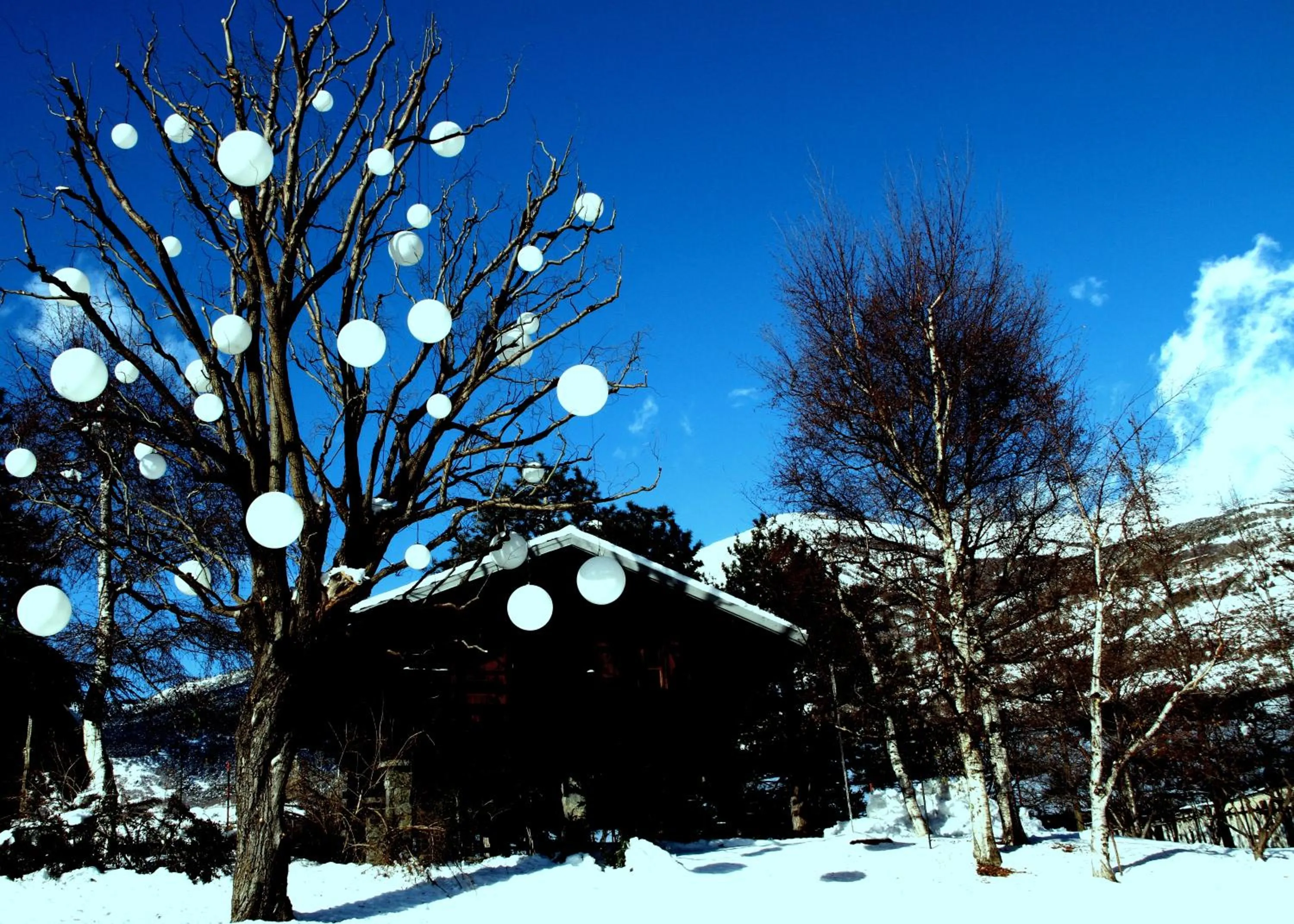 Property building in Hotel Village