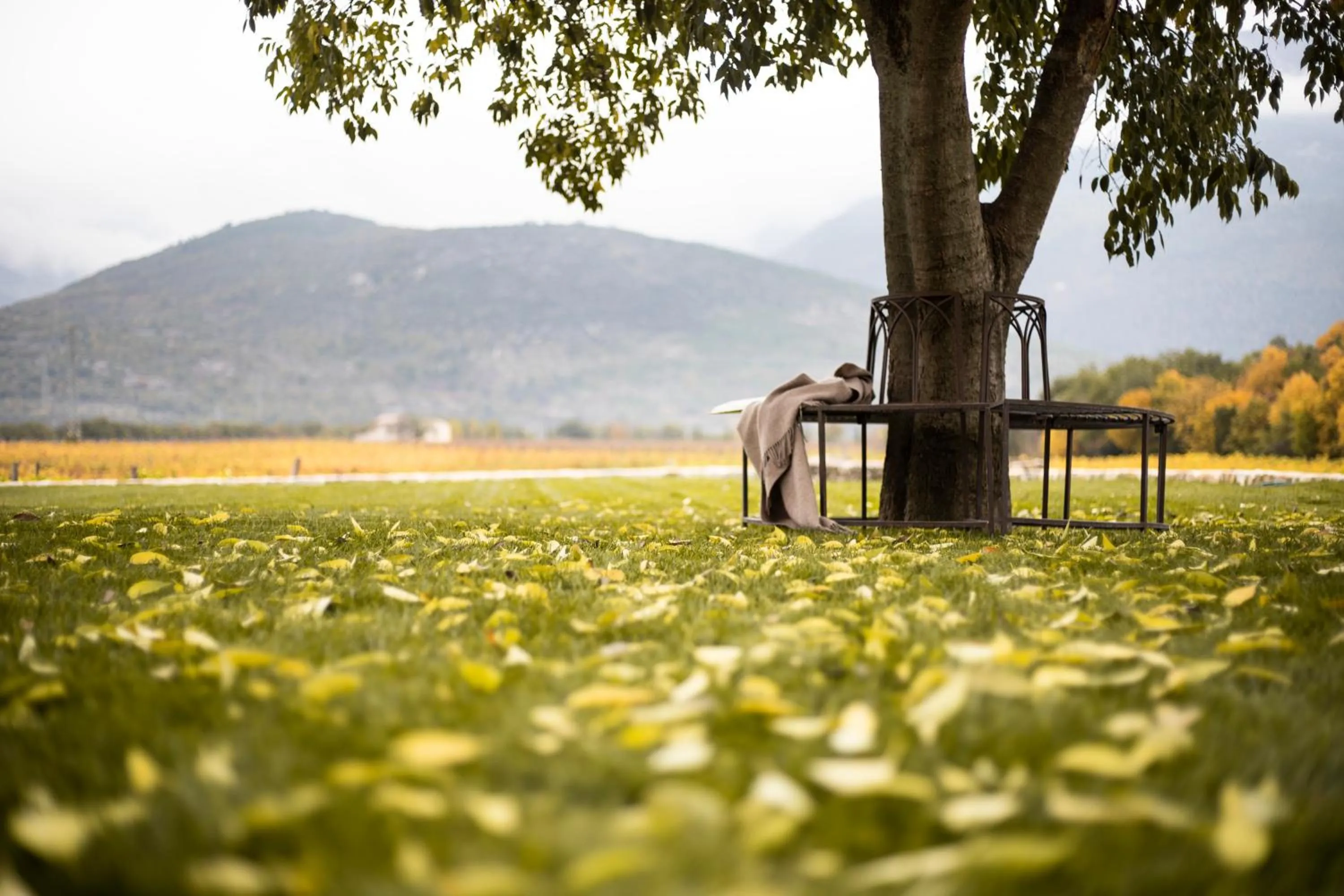 Summer in San Calisto camere con vigna