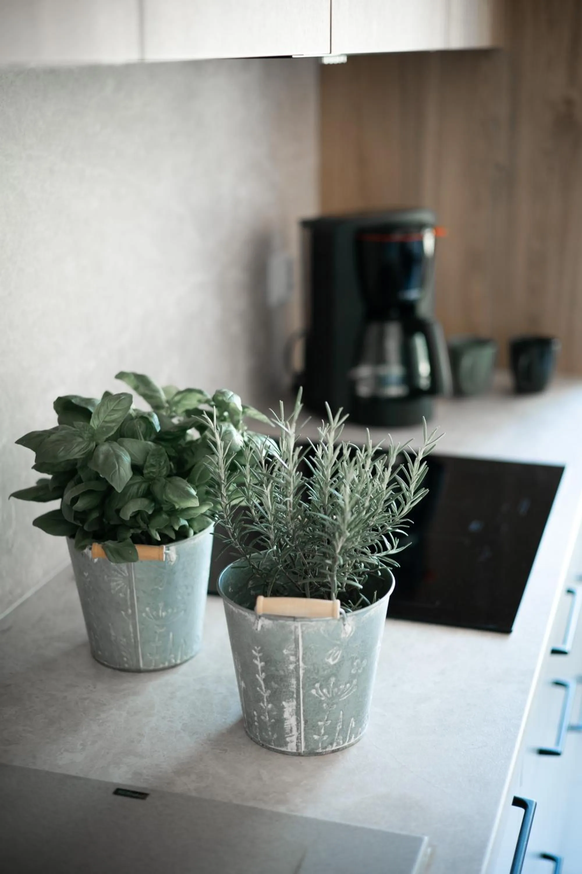Kitchen or kitchenette in BURSZTYN - BERNSTEIN APARTMENTS