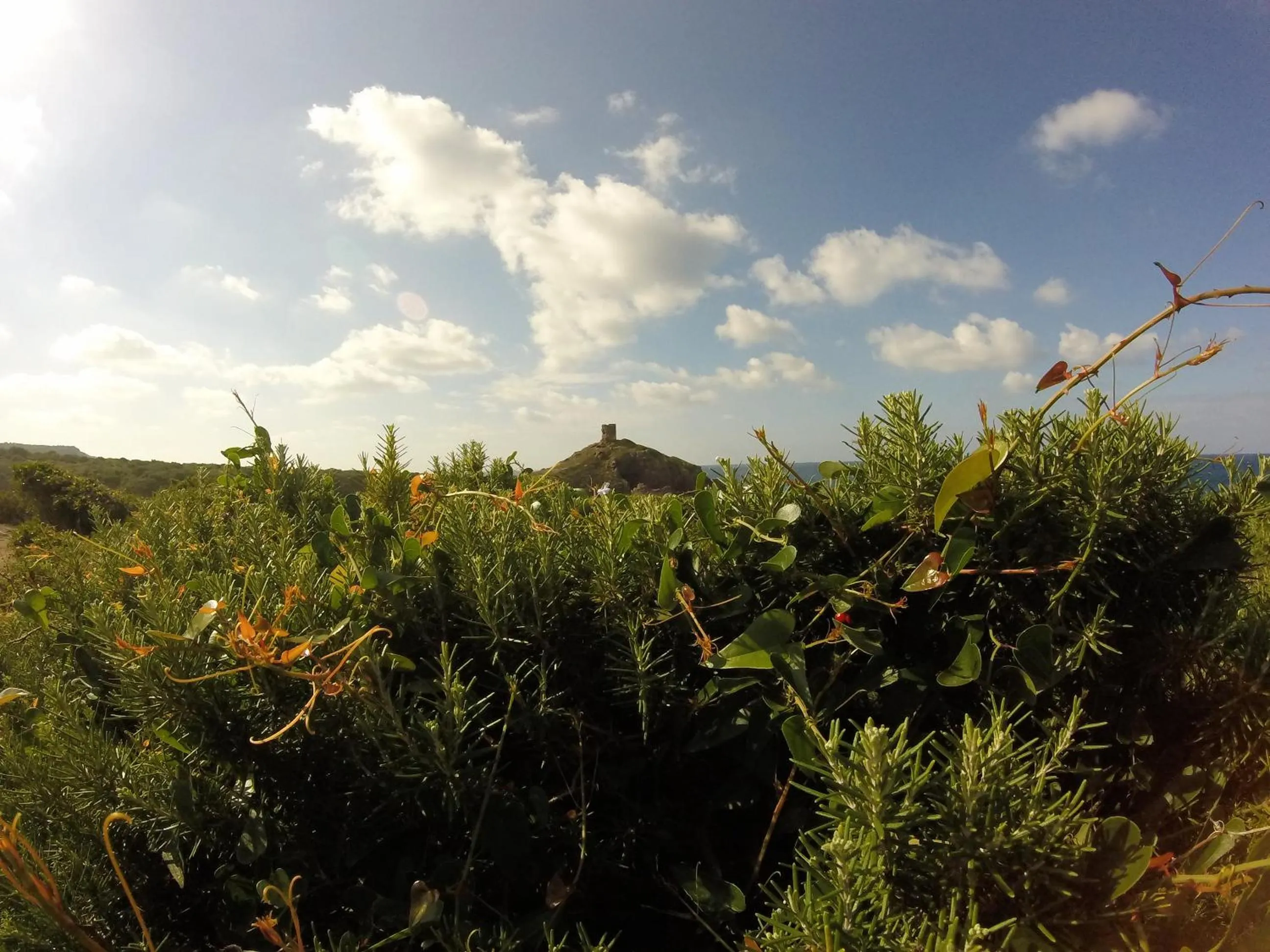 Day in Corte Fiorita Albergo Diffuso