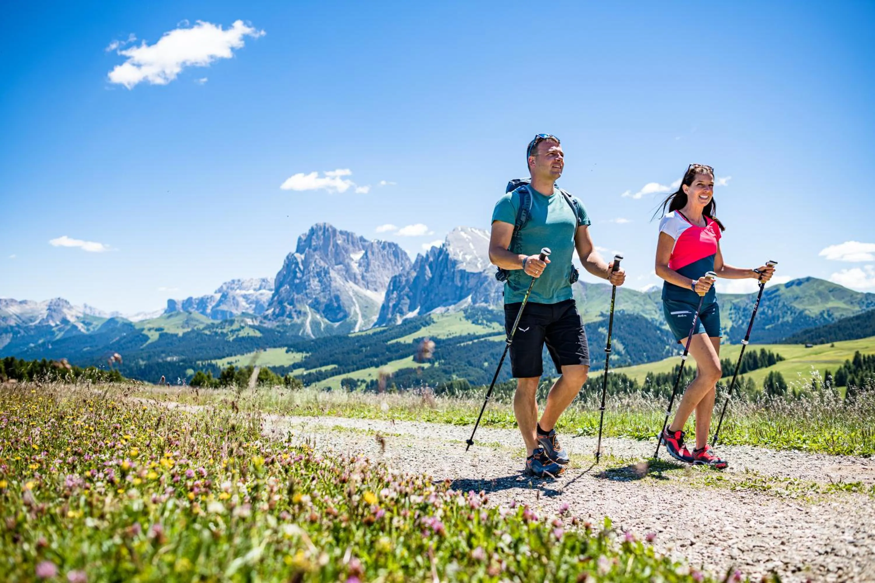 Natural landscape in Hotel Emmy - five elements