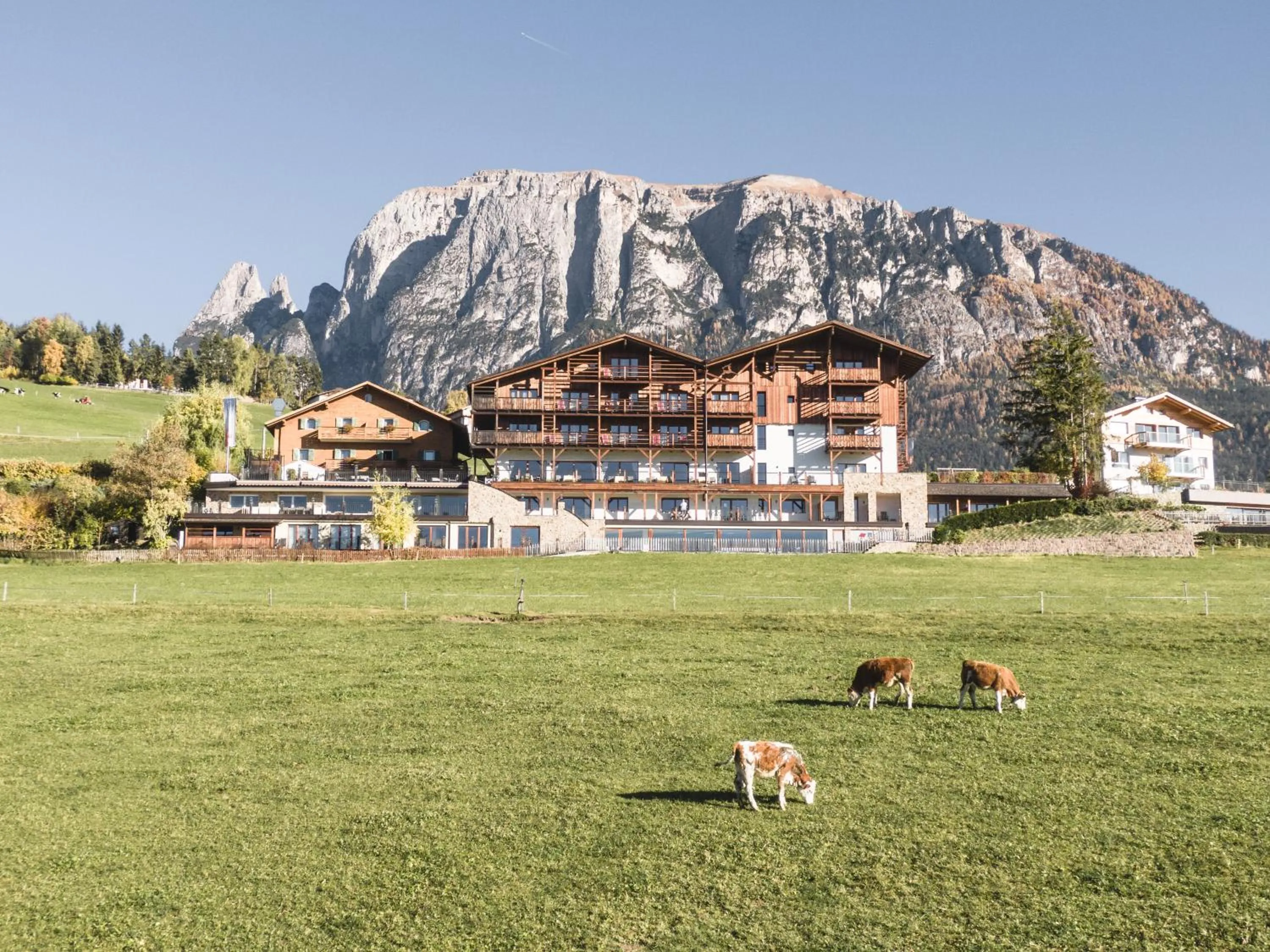 Property building in Hotel Emmy - five elements