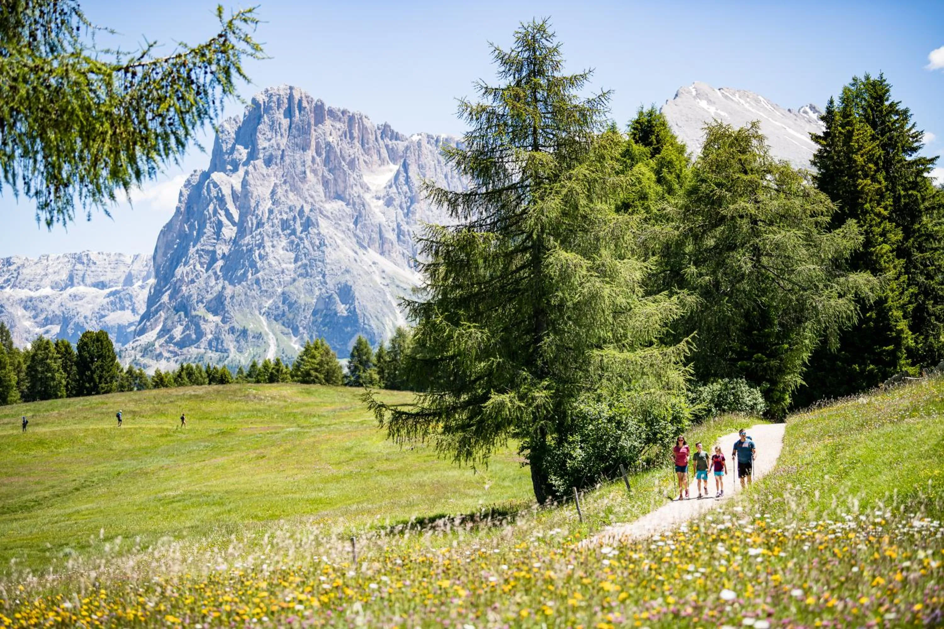 Natural landscape in Hotel Emmy - five elements