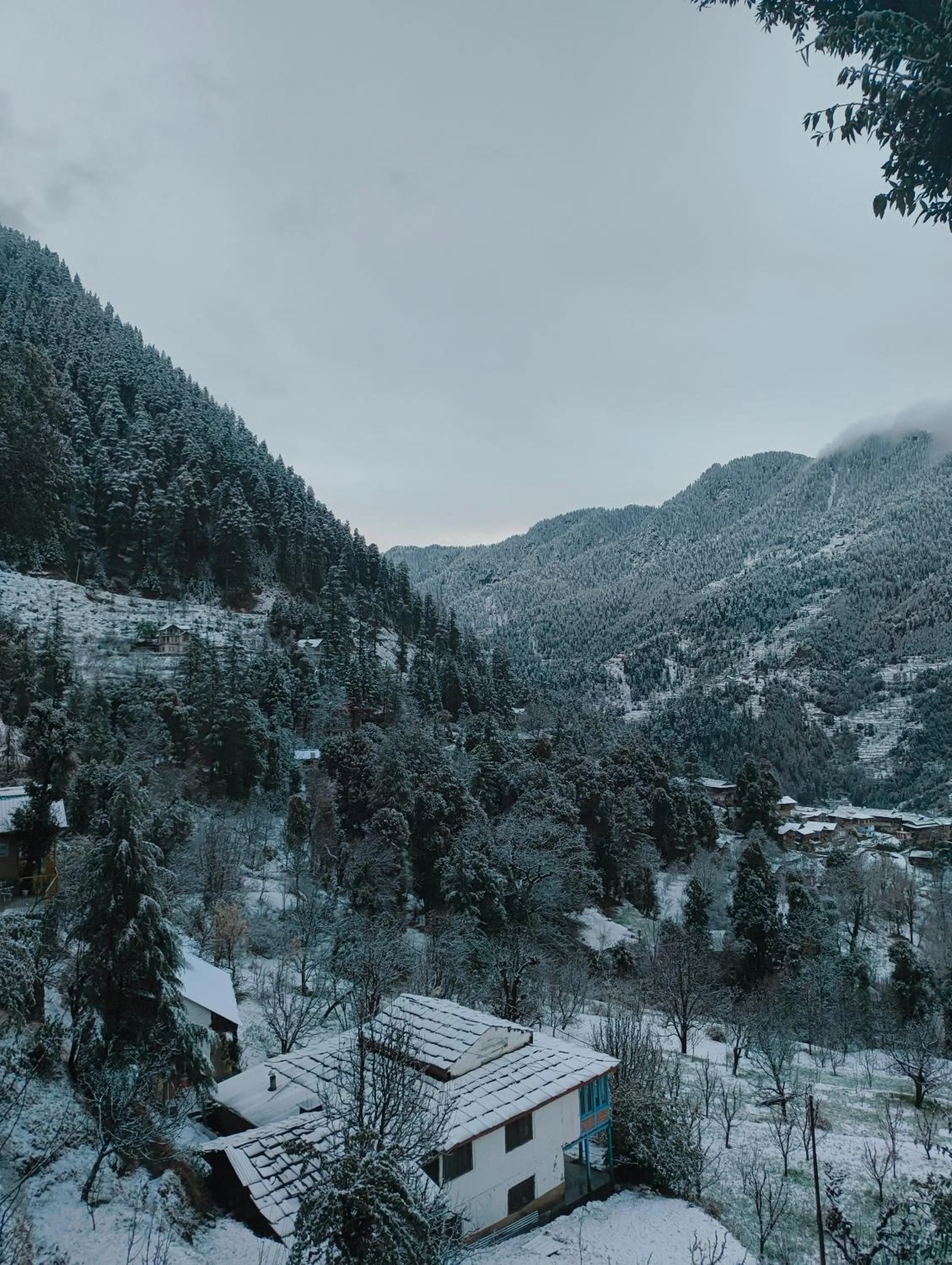 Natural landscape in MOZO Inn&Cafe Jibhi