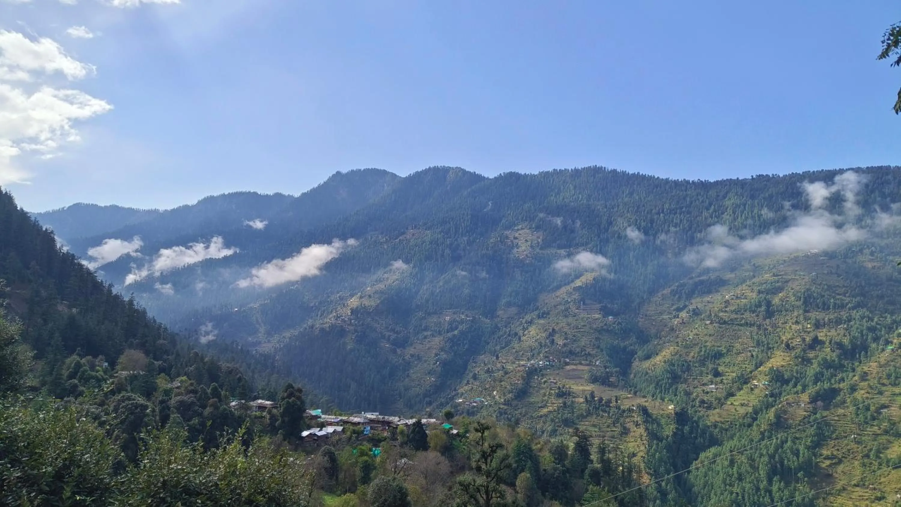 View (from property/room) in MOZO Inn&Cafe Jibhi