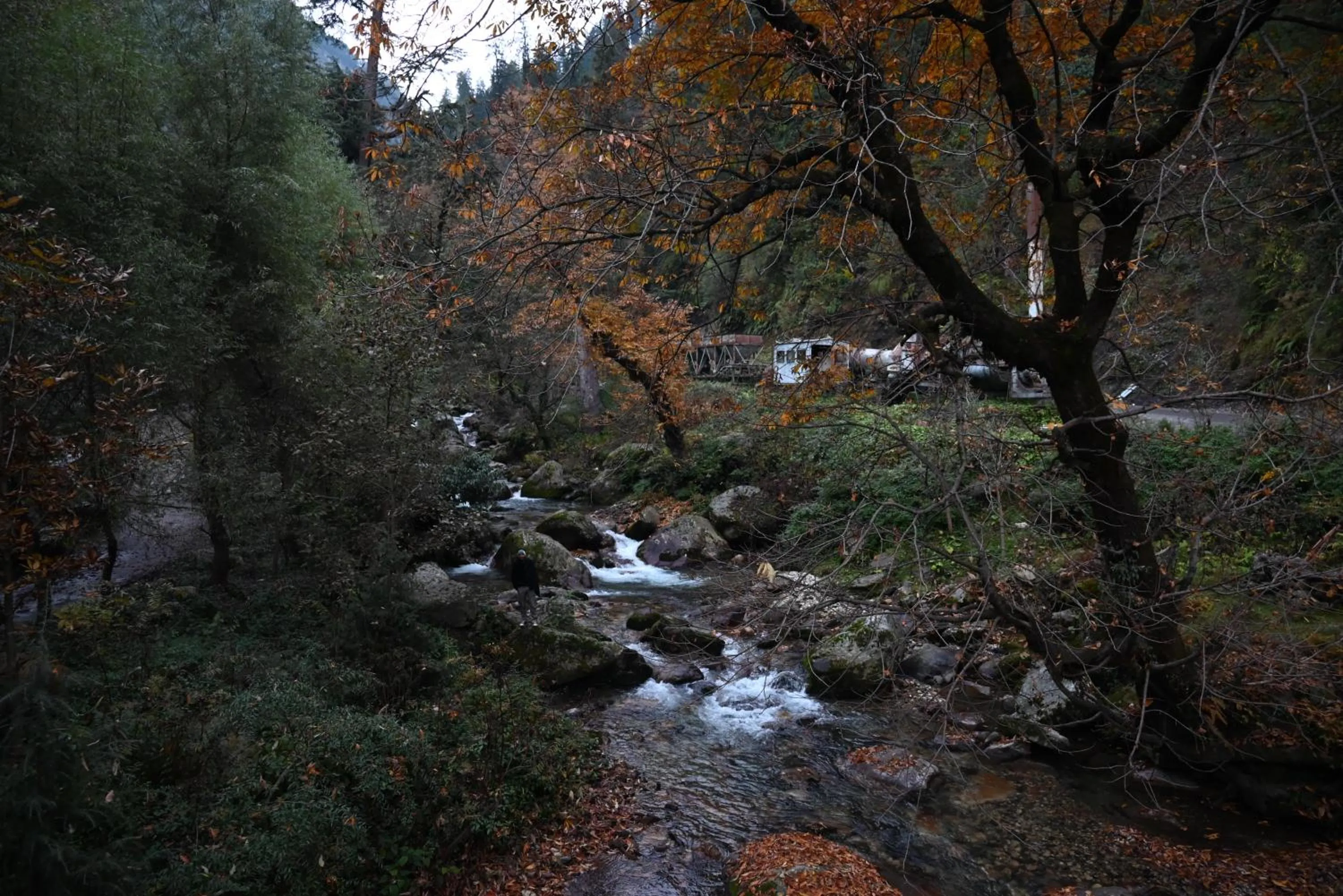 Natural landscape in MOZO Inn&Cafe Jibhi