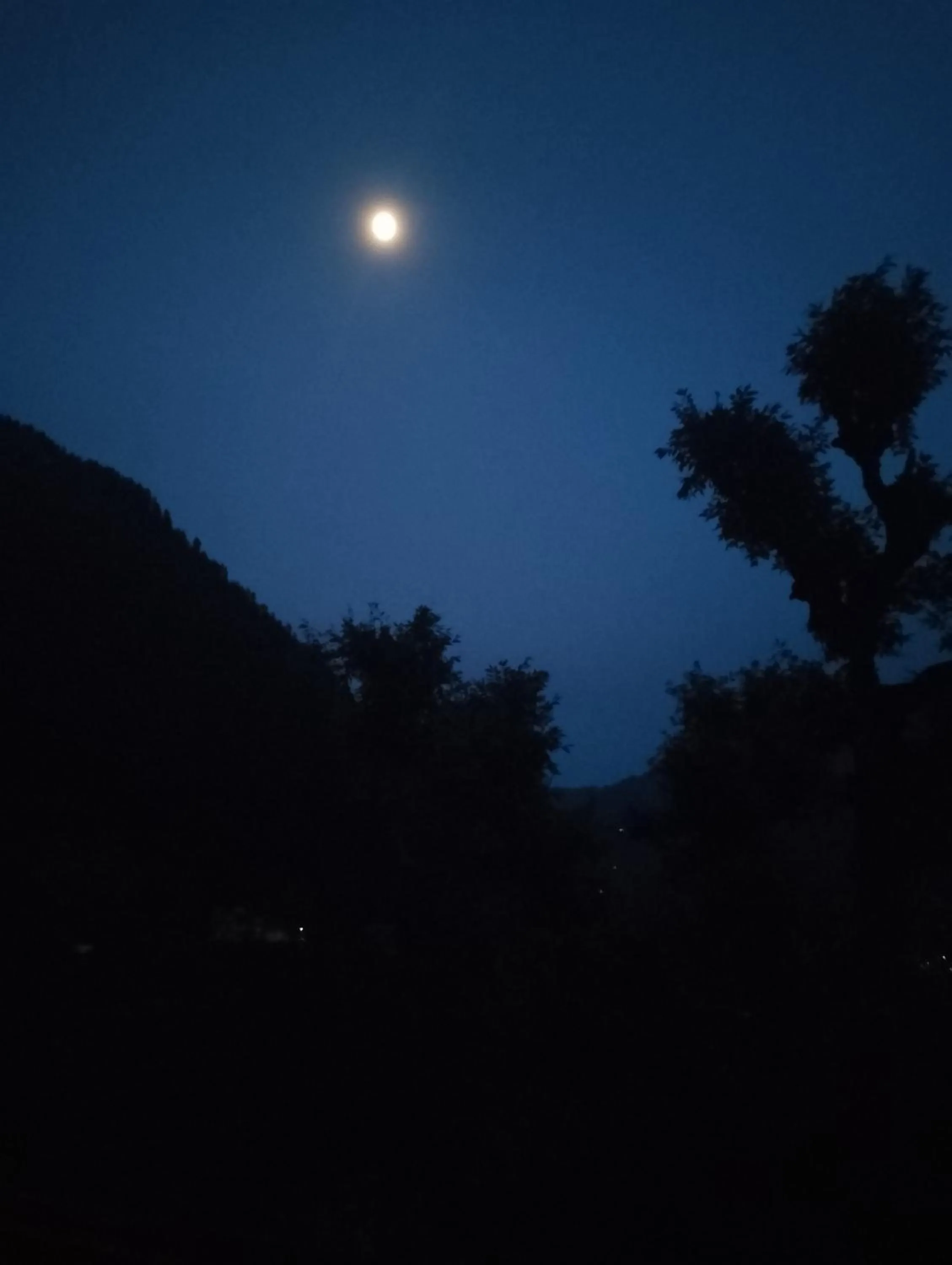 Restaurant/places to eat in MOZO Inn&Cafe Jibhi