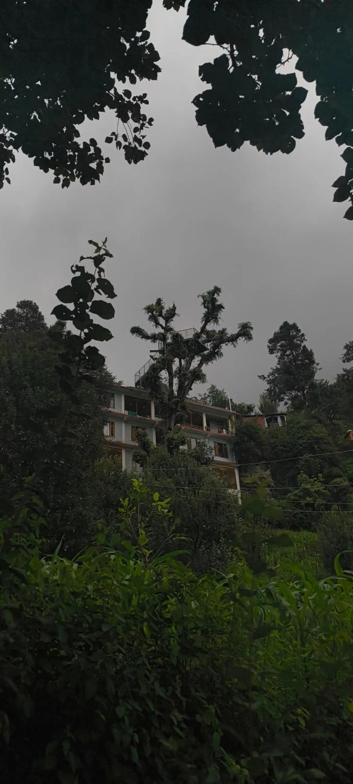 Property building in MOZO Inn&Cafe Jibhi