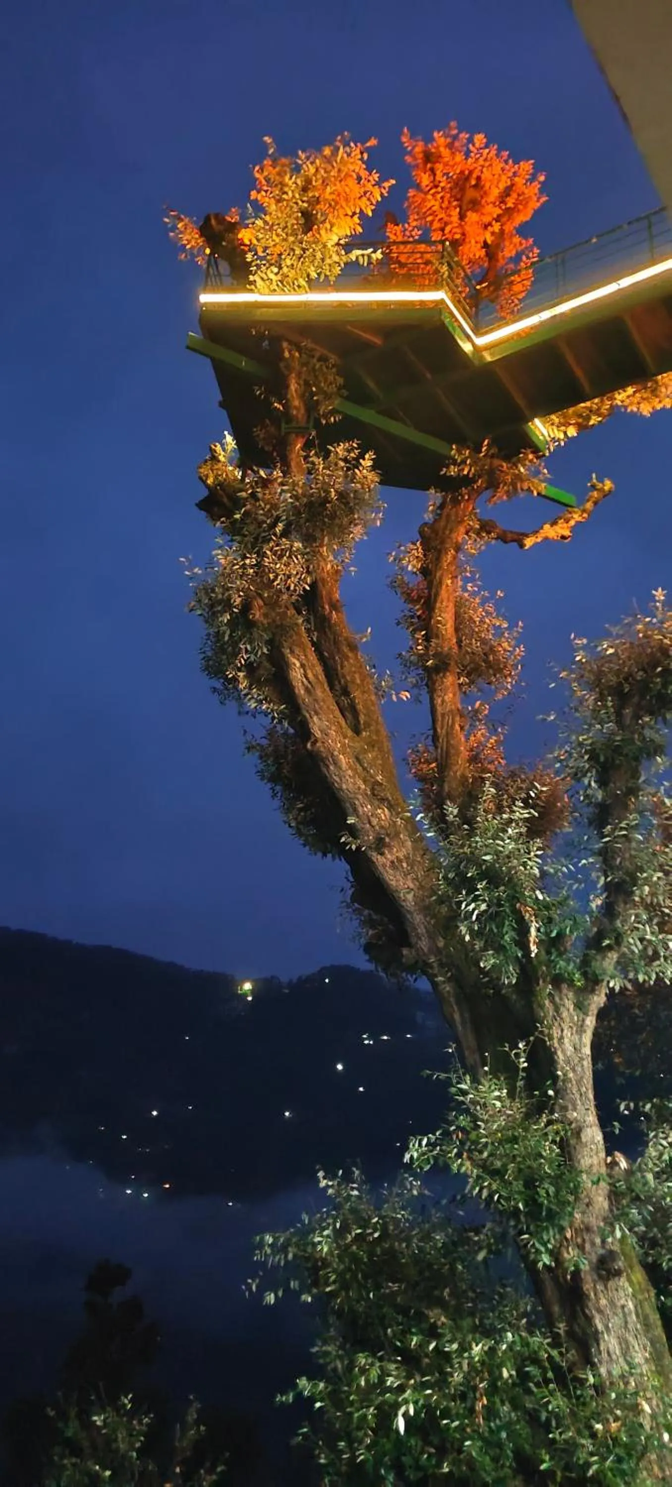 Activities in MOZO Inn&Cafe Jibhi