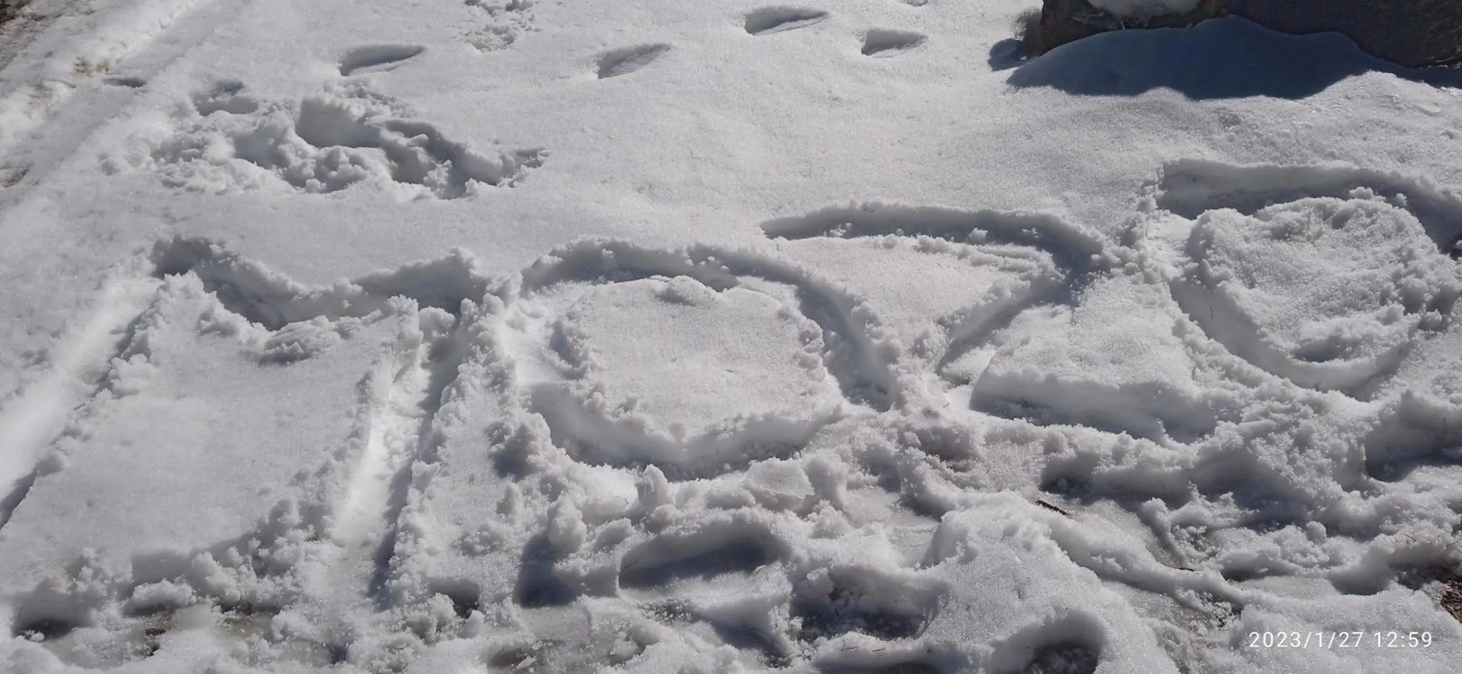 Winter in MOZO Inn&Cafe Jibhi