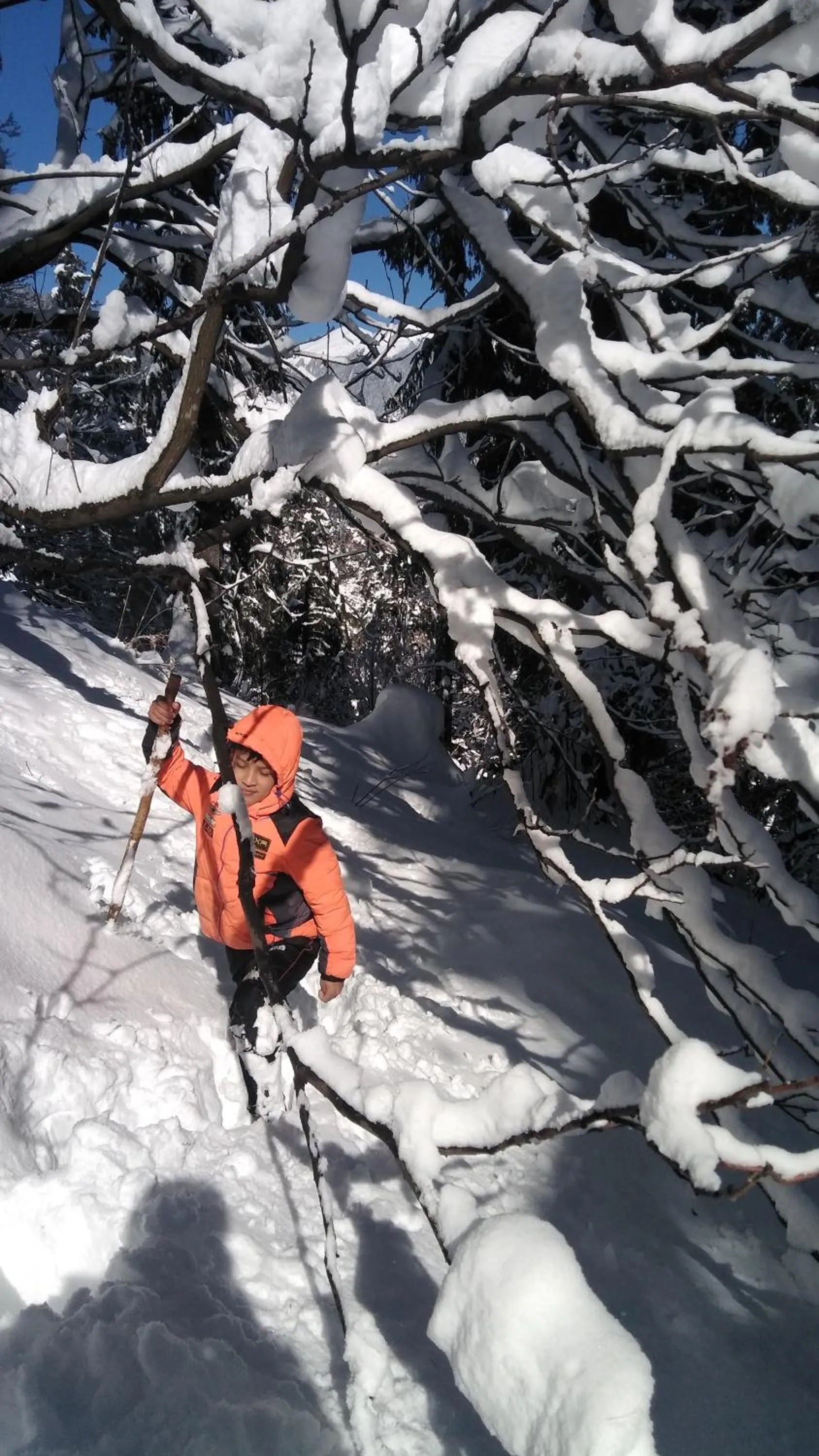 Activities in MOZO Inn&Cafe Jibhi