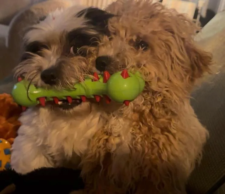 Pakhuis Bed and Breakfast Unique