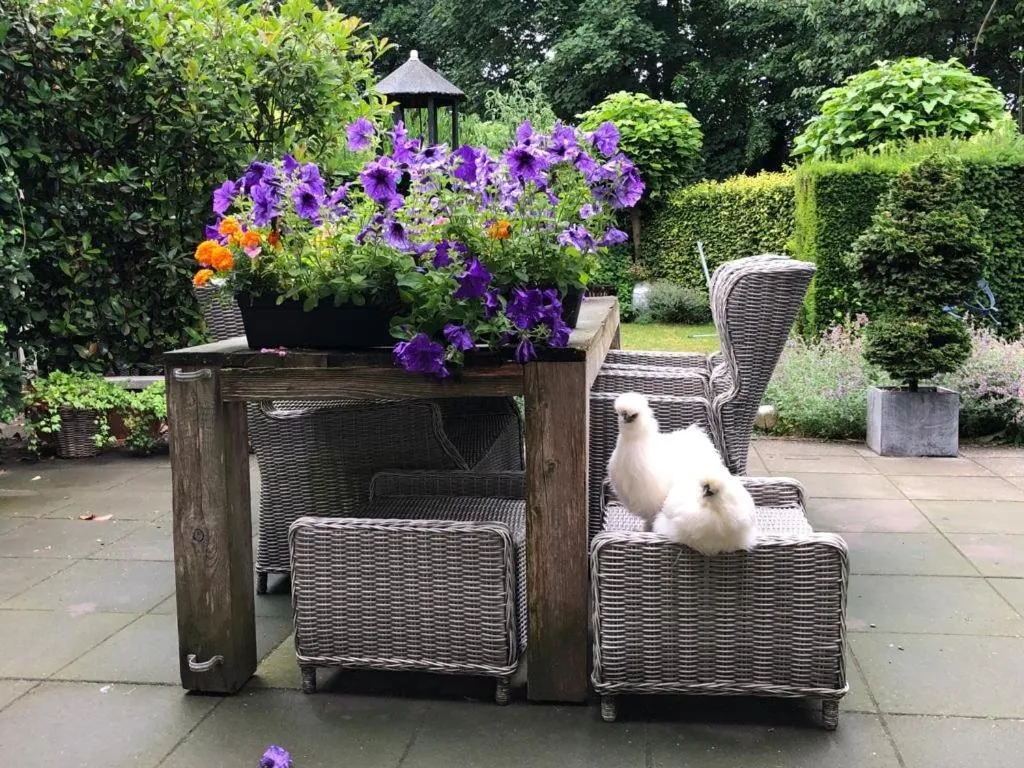 Garden in Pakhuis Bed and Breakfast Unique