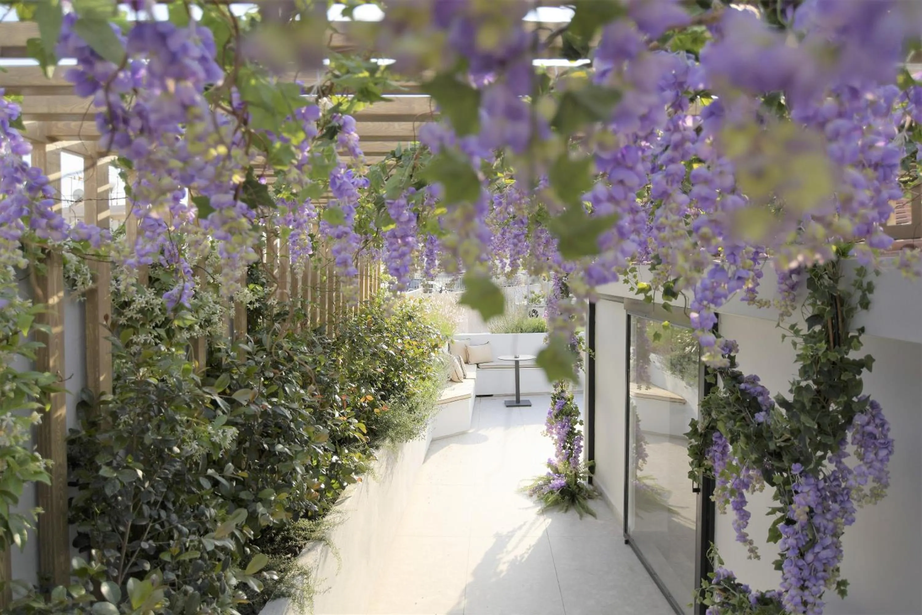 Garden in Cityzoe Athens Suites