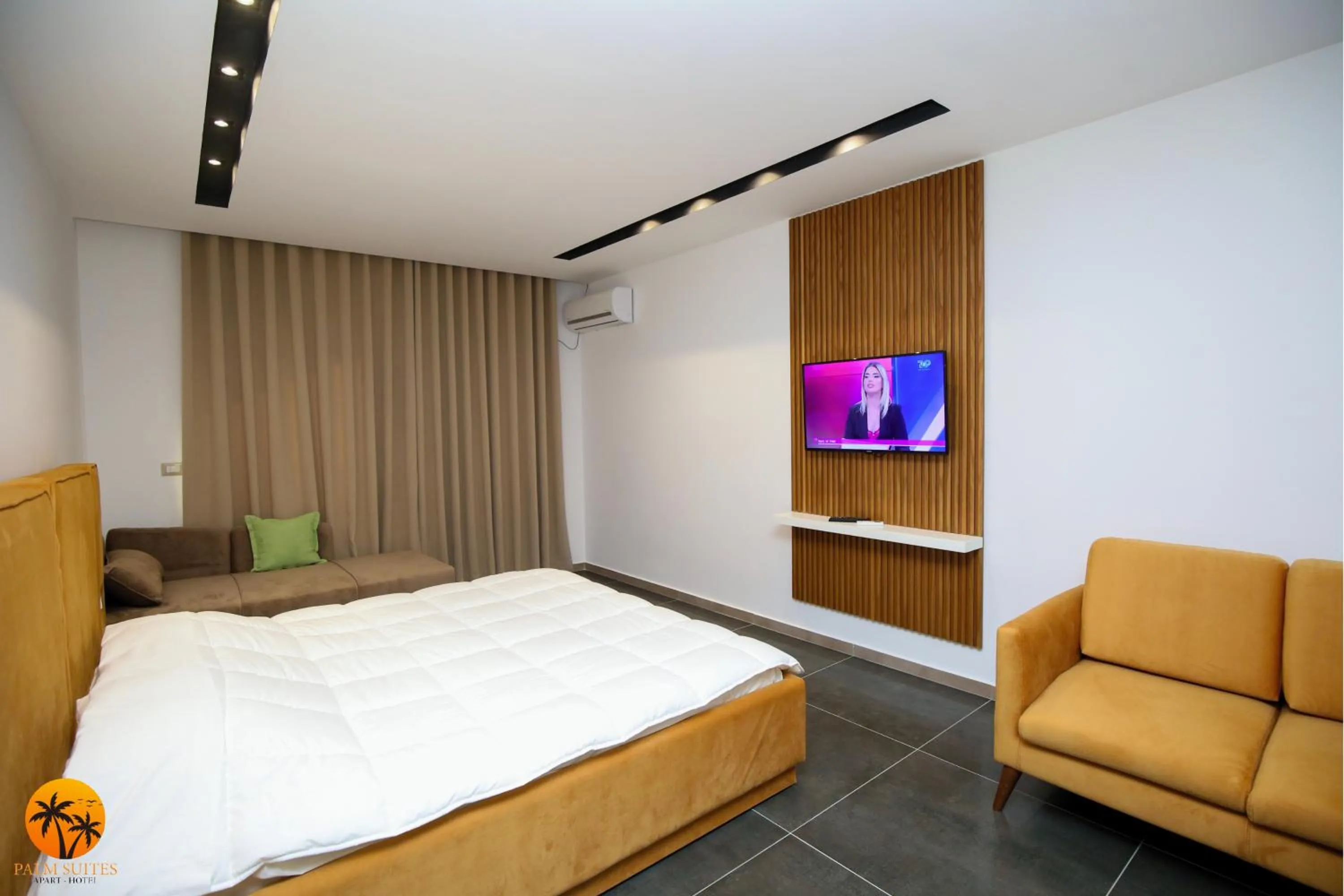 TV and multimedia in Palm Suites Apartment-Suite