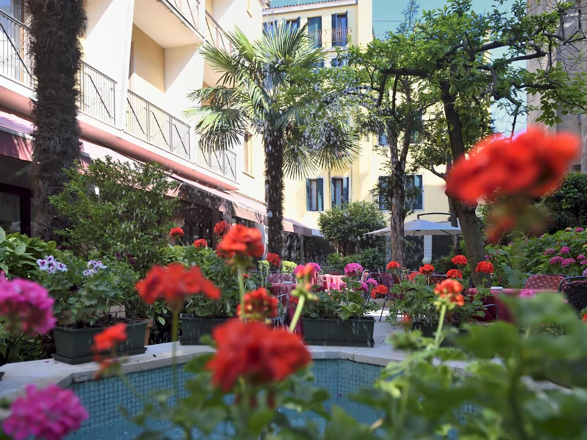 Garden in Hotel Amadeus