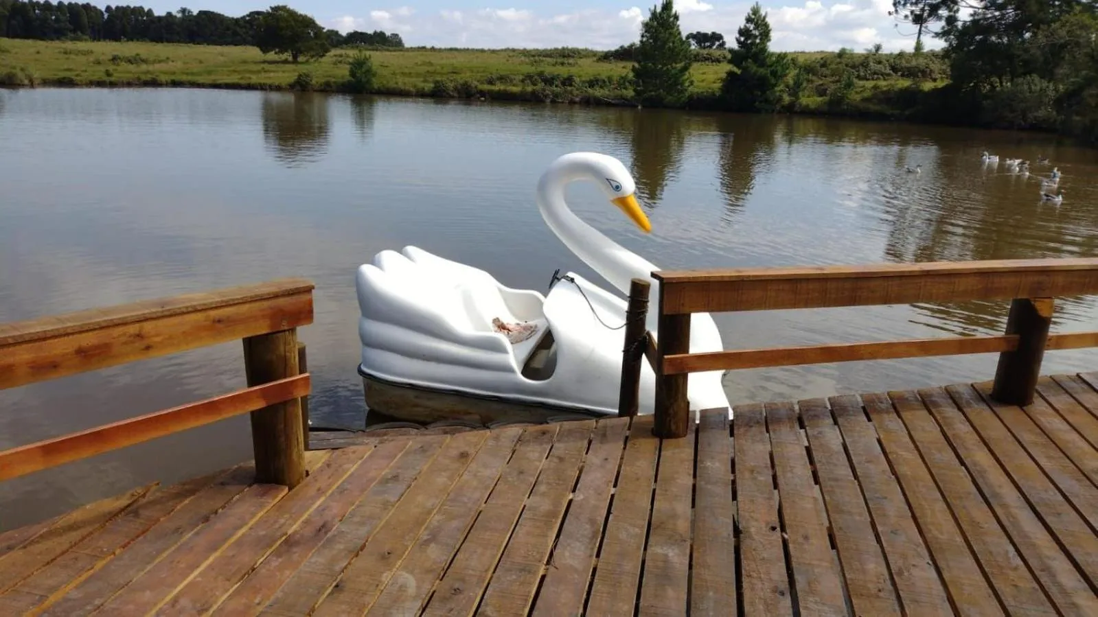 Natural landscape in RECANTO DO SINALEIRO GRAMADO