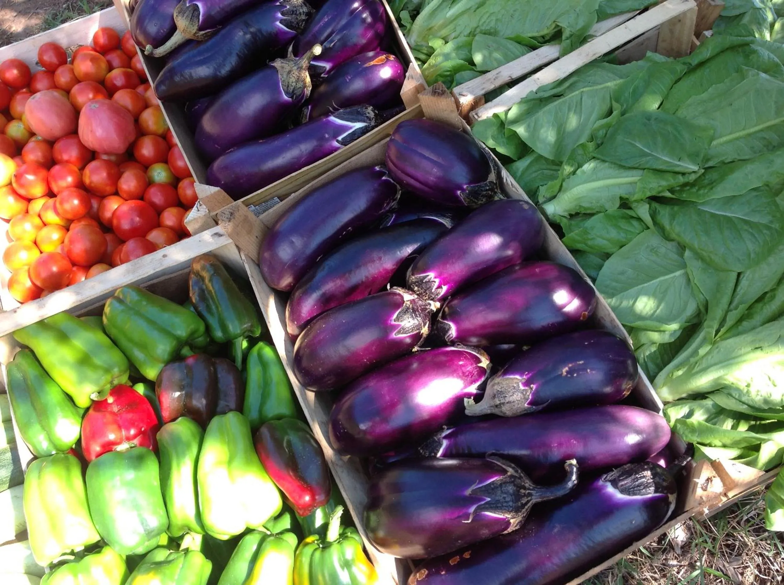 Restaurant/places to eat in Agriturismo Santa Margherita