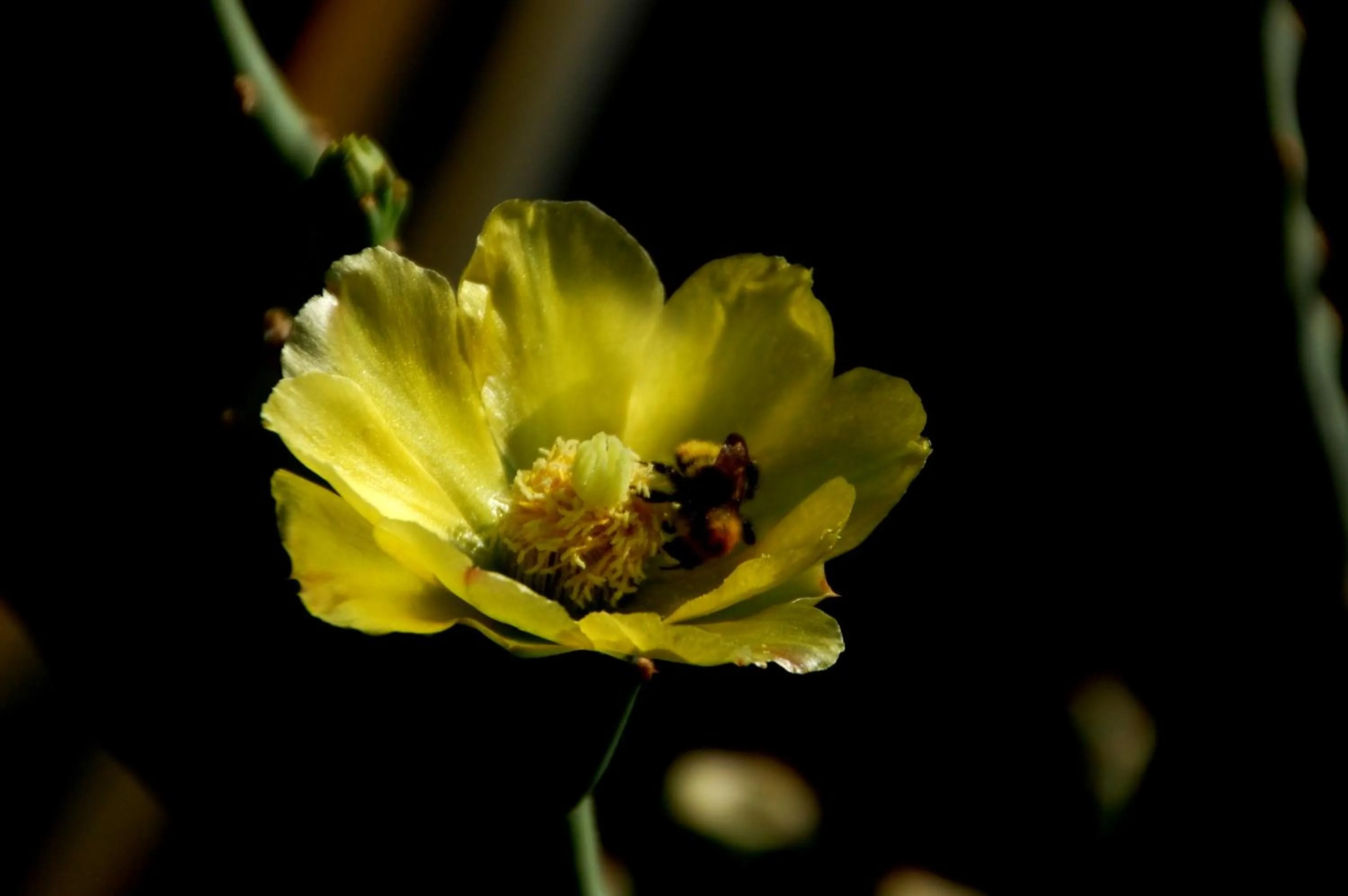Other in Agriturismo Santa Margherita