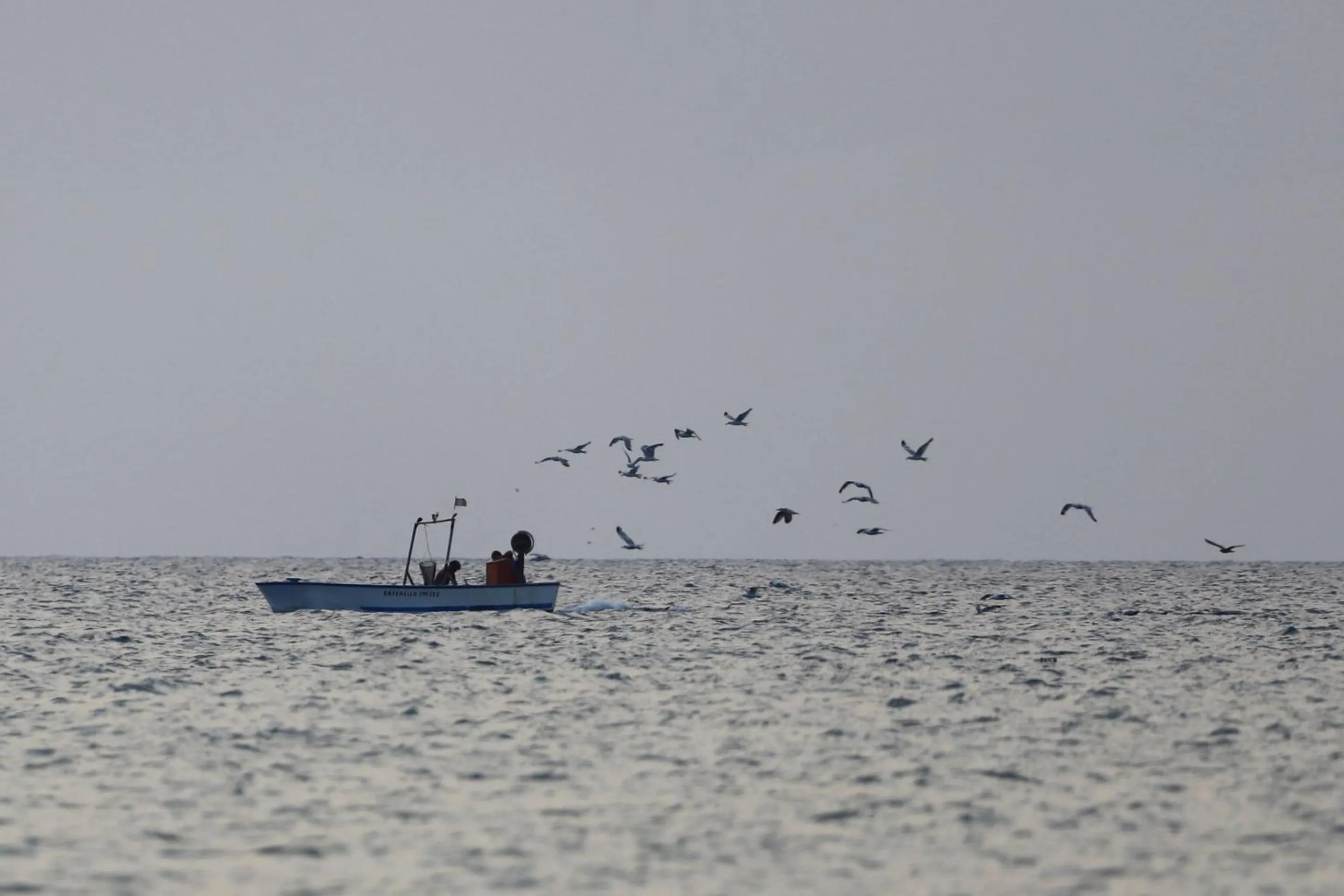Natural landscape in Hotel Portonuovo
